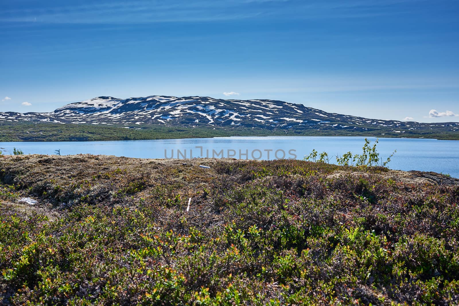 Small lake on top of a mountain.