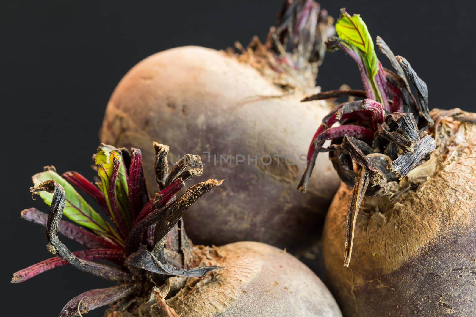 Three farm fresh whole raw beetroot in a close up view on a black surface in a healthy diet or vegetarian concept