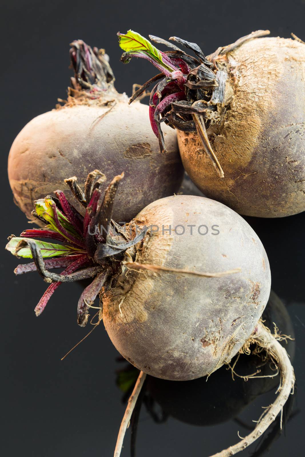 Three farm fresh raw beetroot by juniart