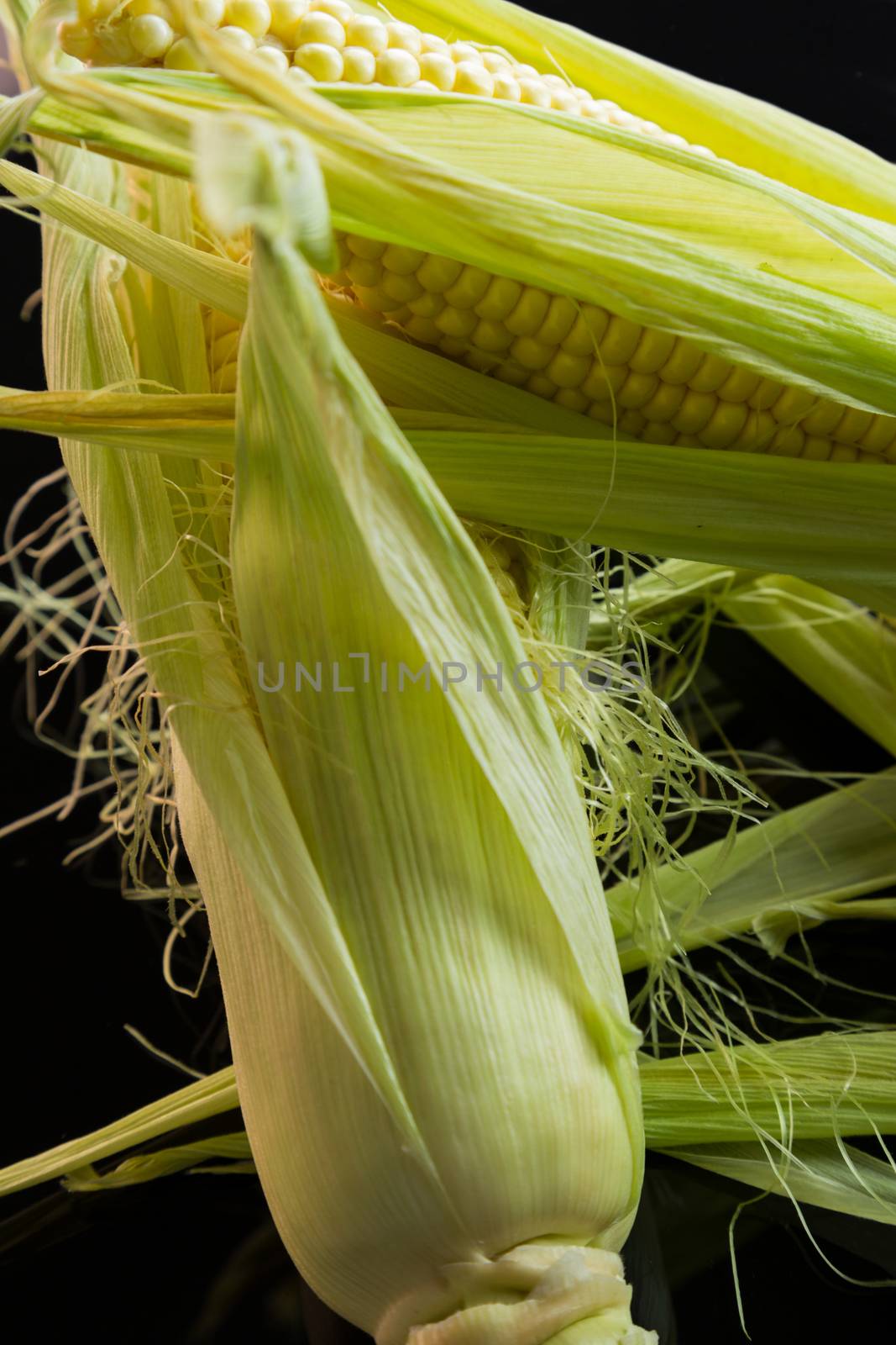 Fresh corn on the cob over a black background by juniart