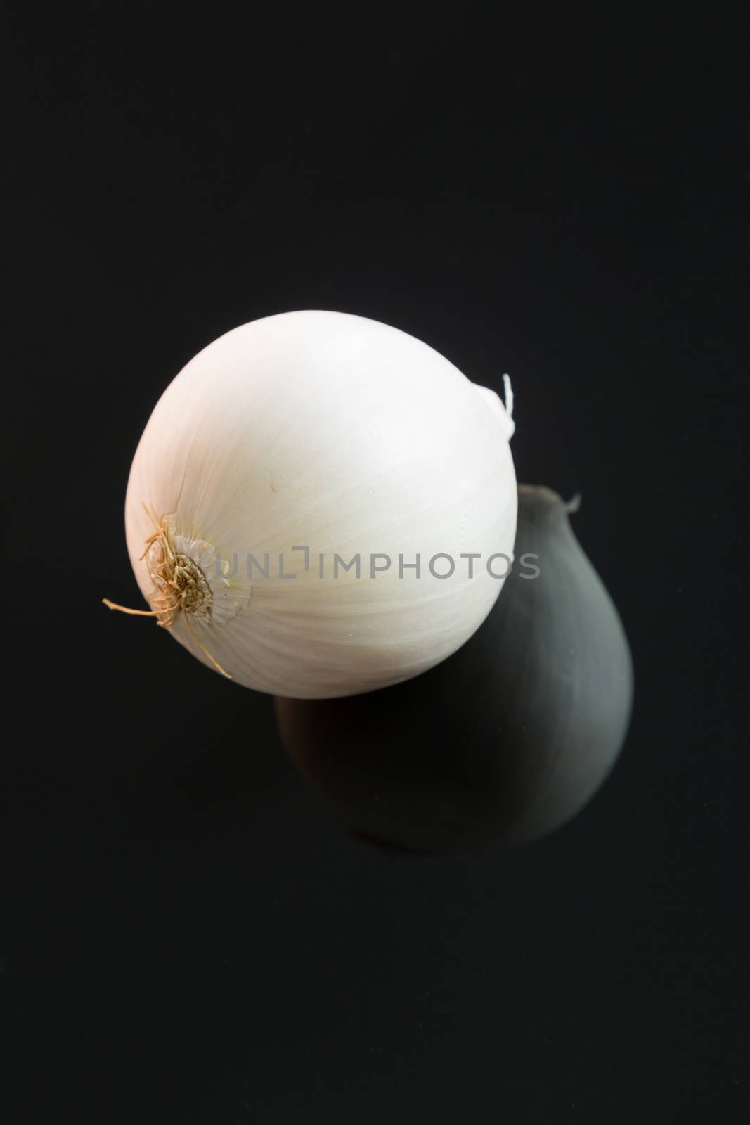 Three whole fresh raw white onions on a reflective black background with copy space