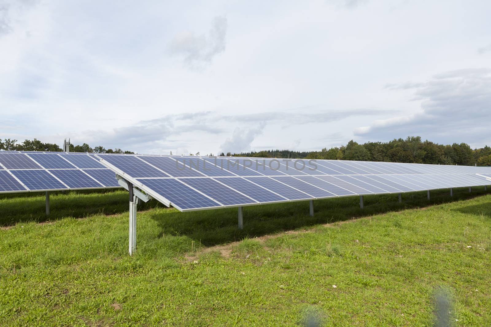 Field with blue siliciom solar cells alternative energy to collect sun energy