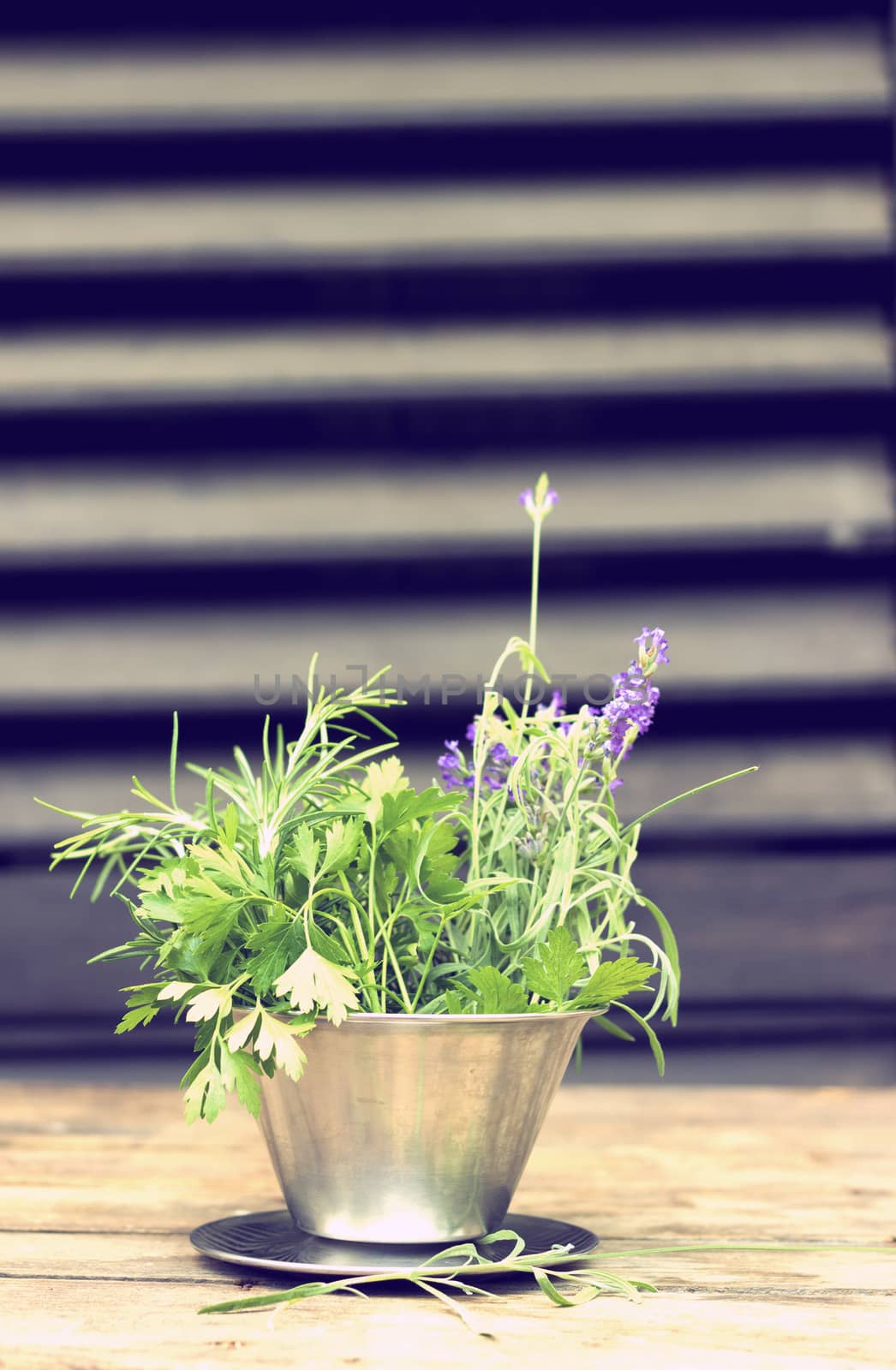 Bunch of garden fresh herbs in a metal bow l- vintage retro color tone