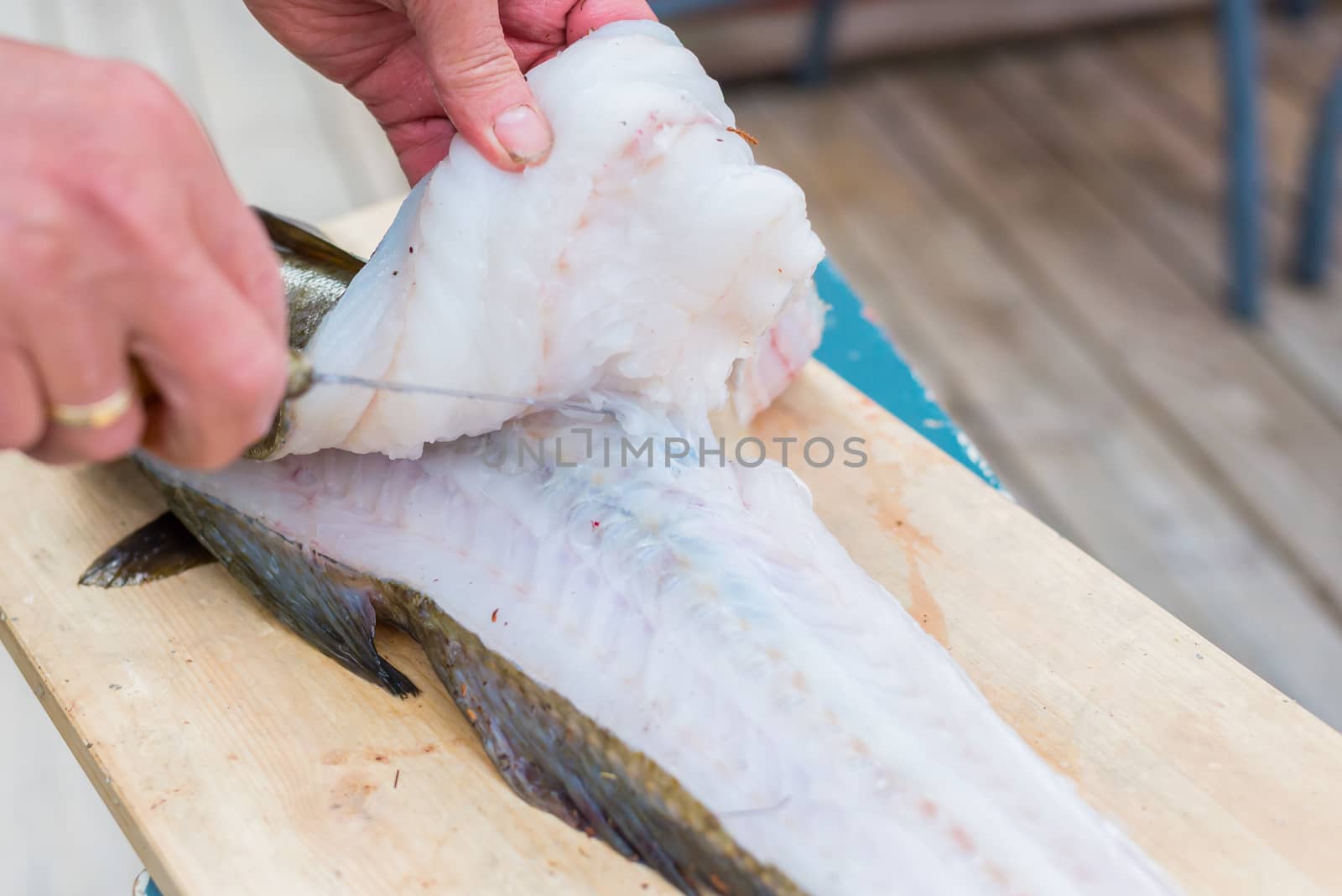 Closeup of man filleting fresh cod