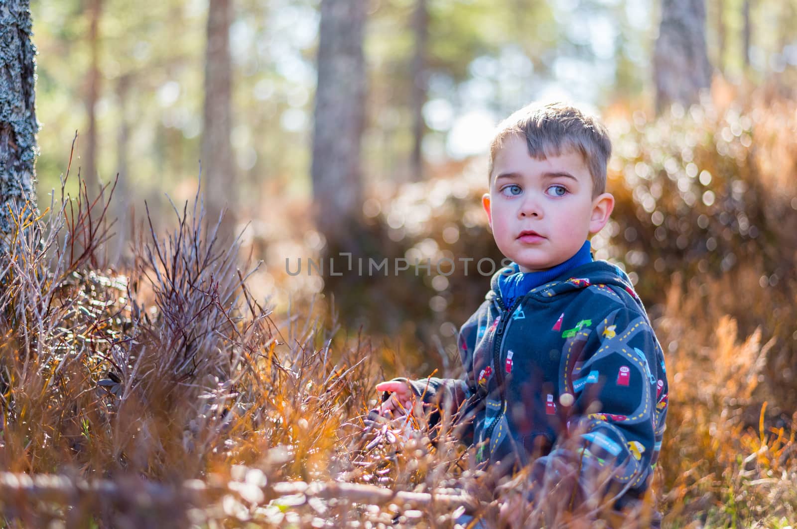 Young thoughtful boy playing in the woods.