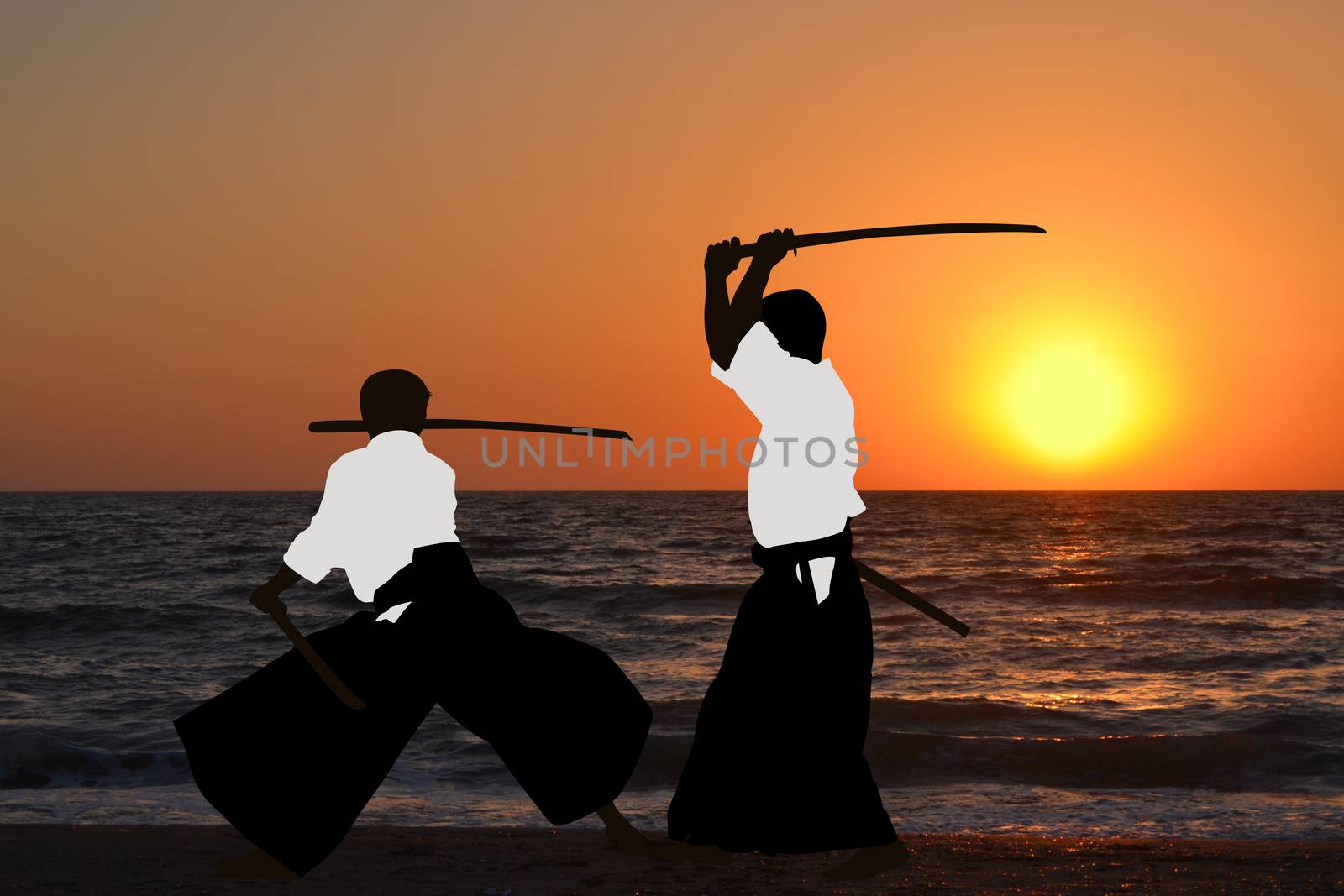 Men practicing Aikido by hibrida13