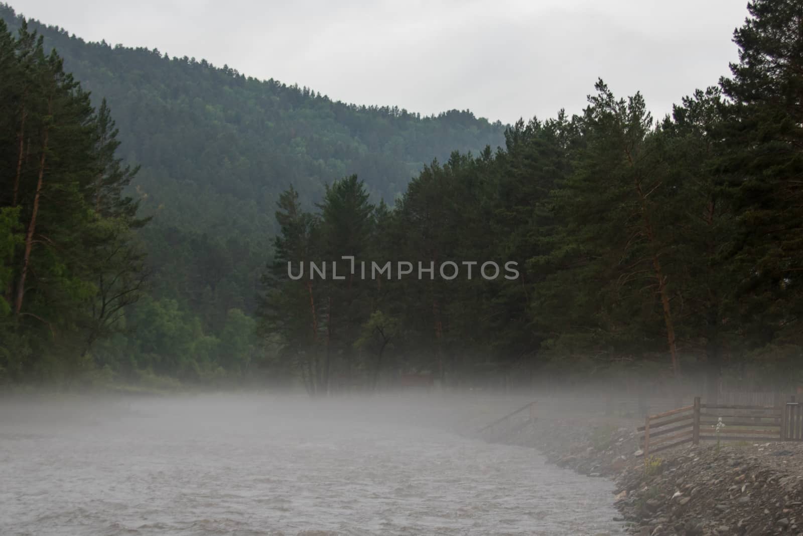 The fog is spread along the fast river early in the morning.