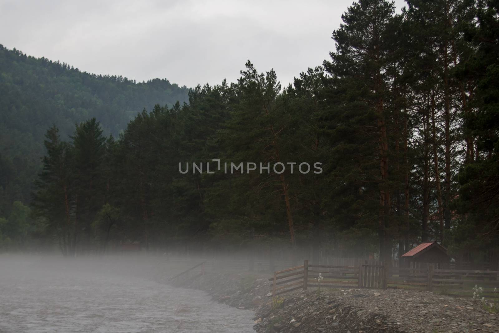 The fog is spread along the river early in the morning. by dpetrakov