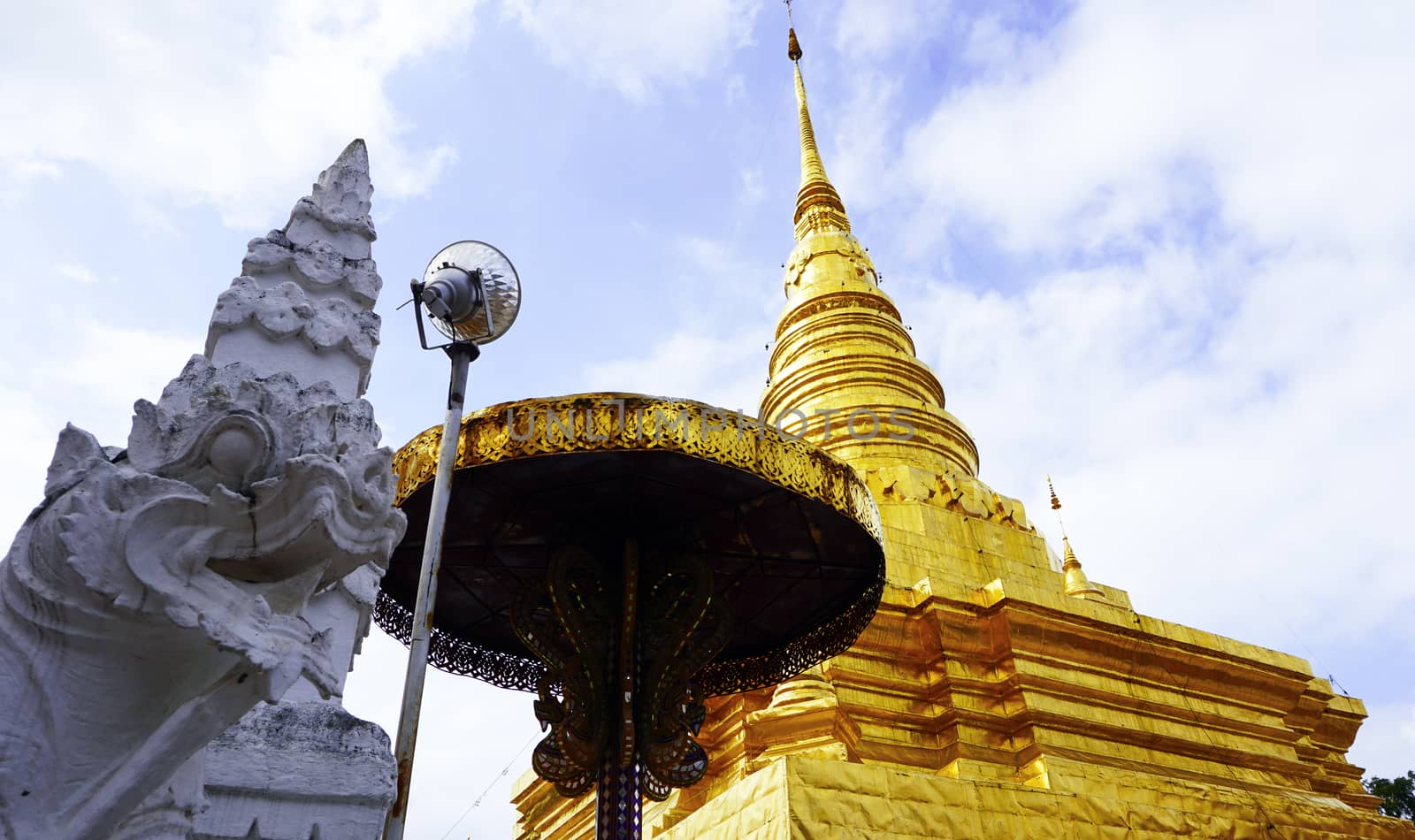 white serpent and golden Pagoda in Temple, nan, Thailand (Wat Chae Haeng)
