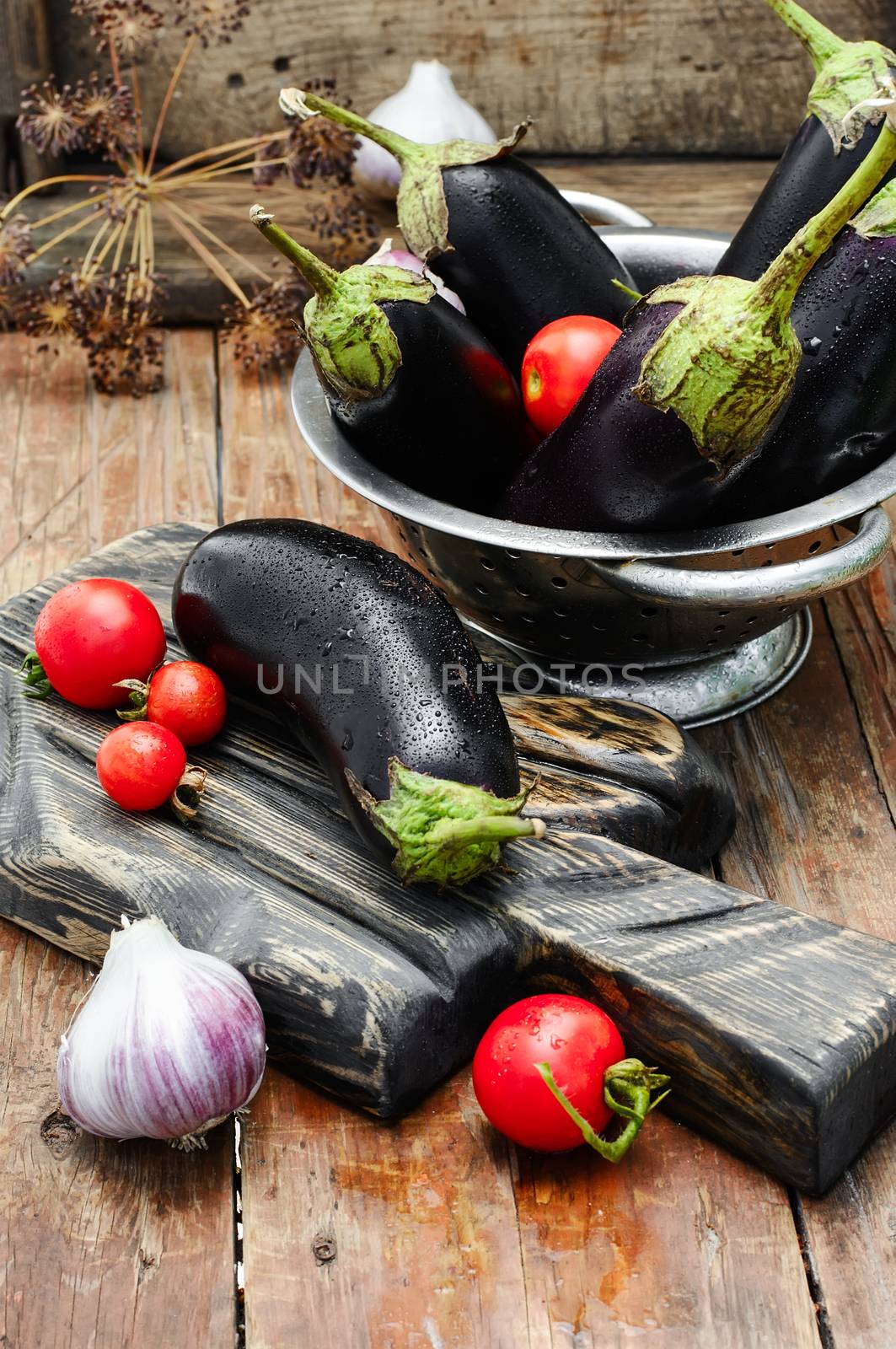 Harvest summer vegetables eggplant on wooden background in rustic style