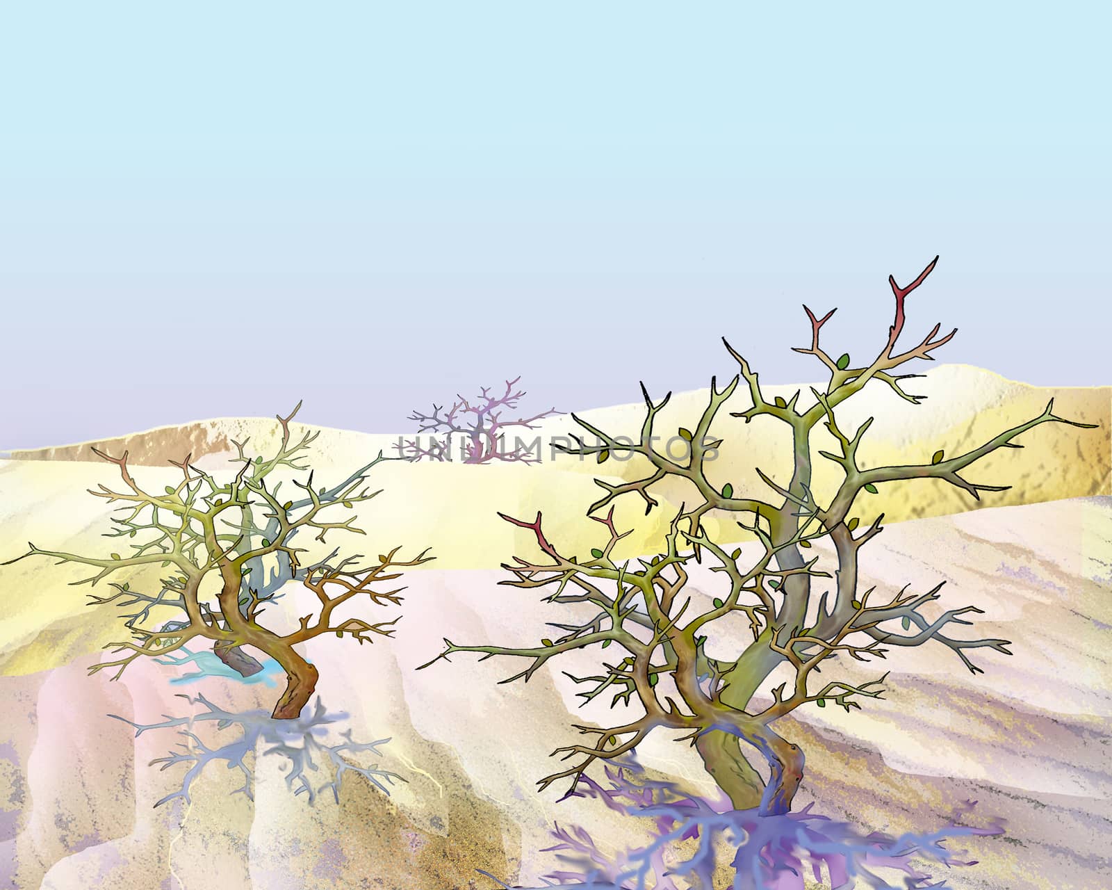 Desert Plant Shrub Saxaul Under Blue Sky by Multipedia