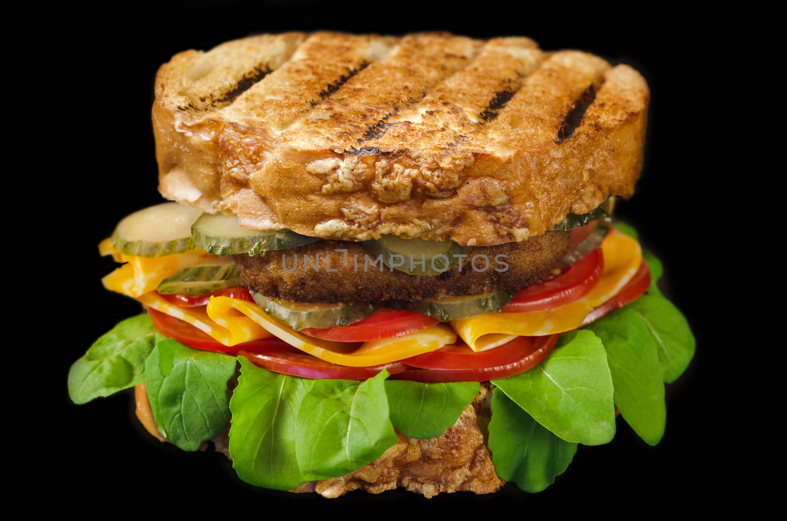 Big sandwich with cutlet, cheese, tomatoes, cucumbers and greens. On a black background.