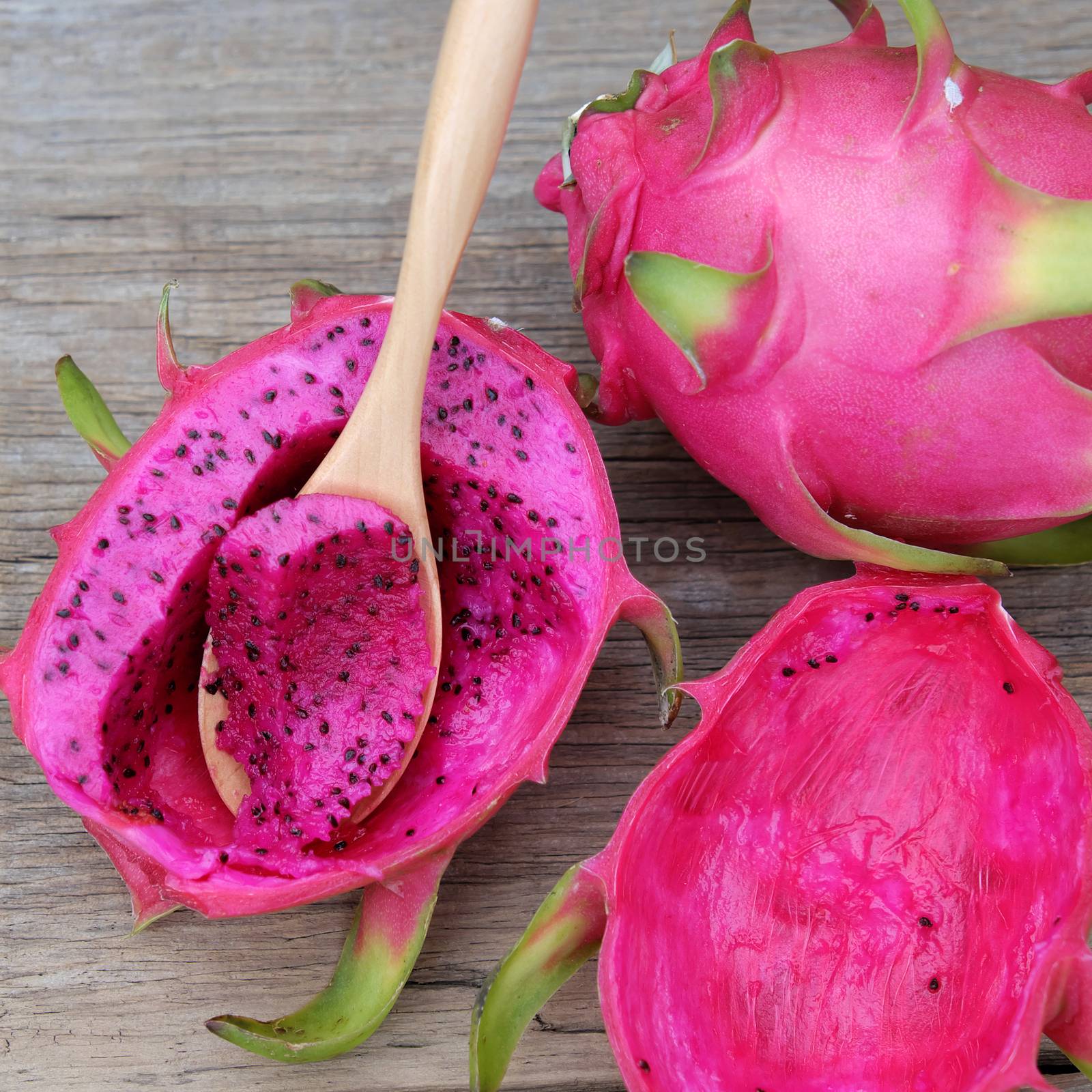 Eating dragon fruit, a tropical fruits, Vietnam agriculture product, with purle, pink color, close up of delicious dessert at garden