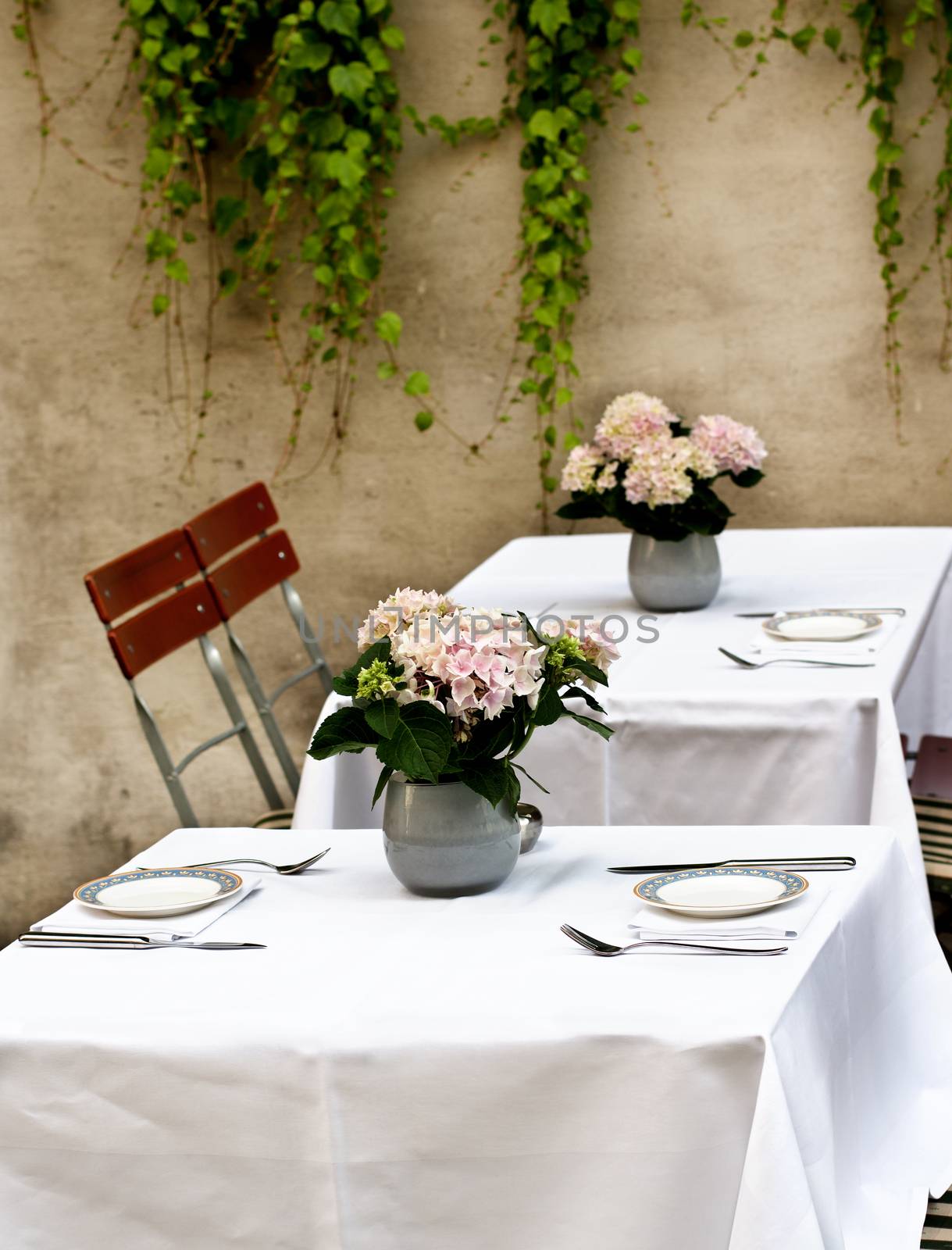 Rustic Celebratory Table Setting with Elegant Plates, Silverware and Bunch of Pink Flowers in Tin Pots closeup on Stone Wall background with Creepers Outdoors. Focus on Foreground