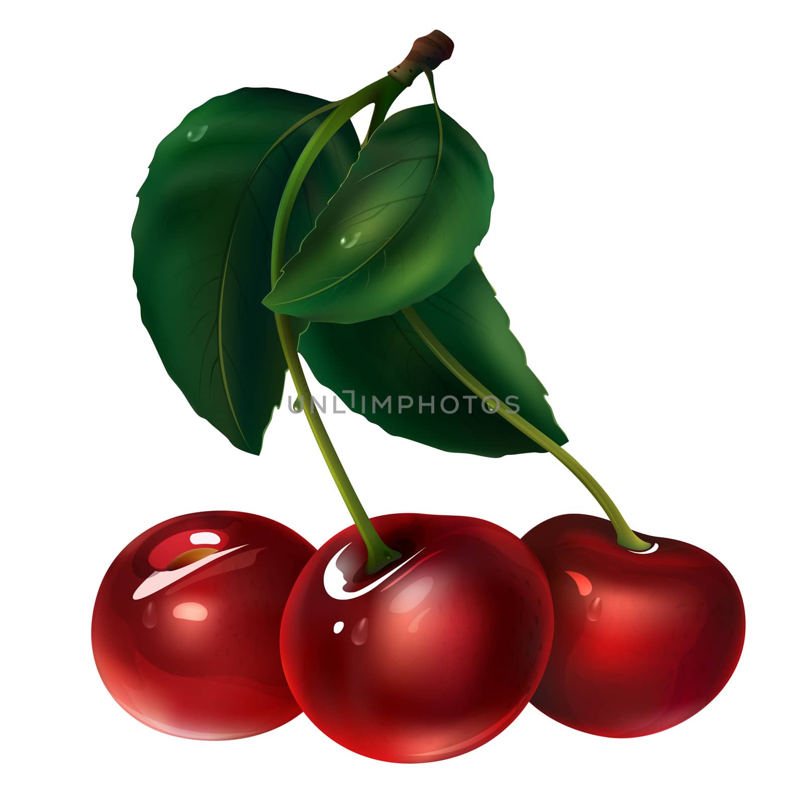Cherry on white background by ConceptCafe