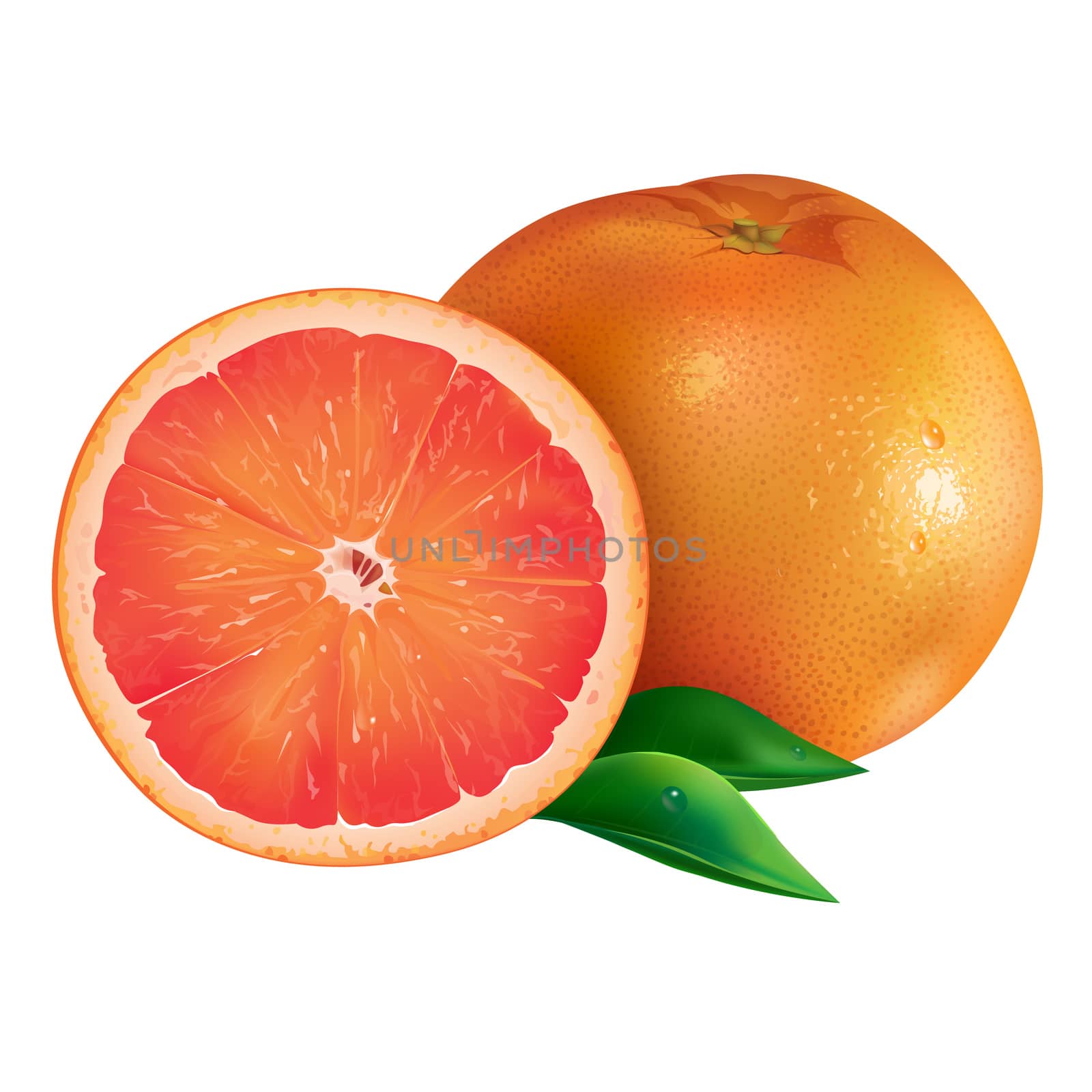 Grapefruit on white background by ConceptCafe