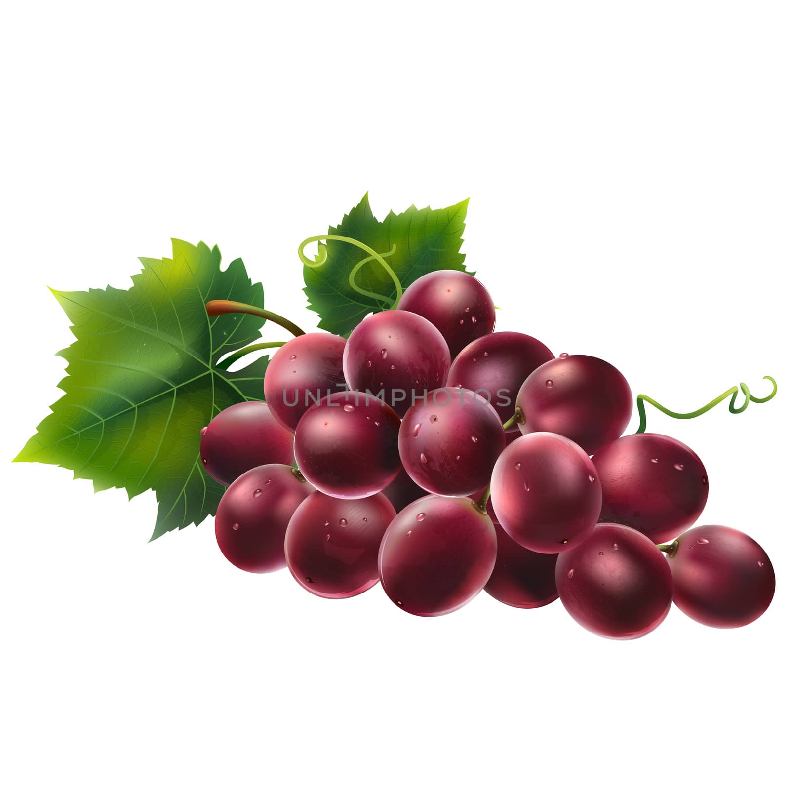 Red grapes on white background by ConceptCafe