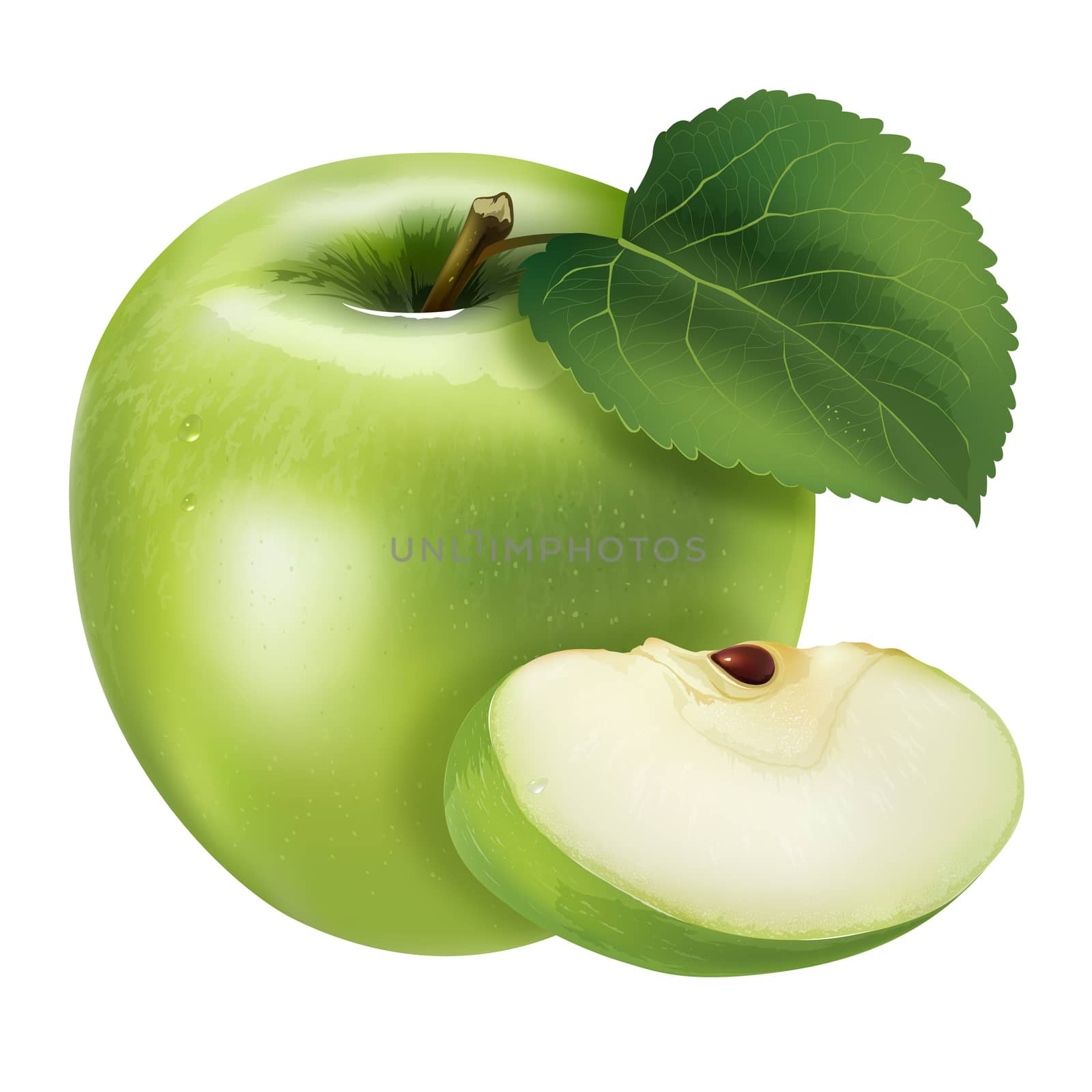 Green apple with leaves. Isolated illustration on white background.