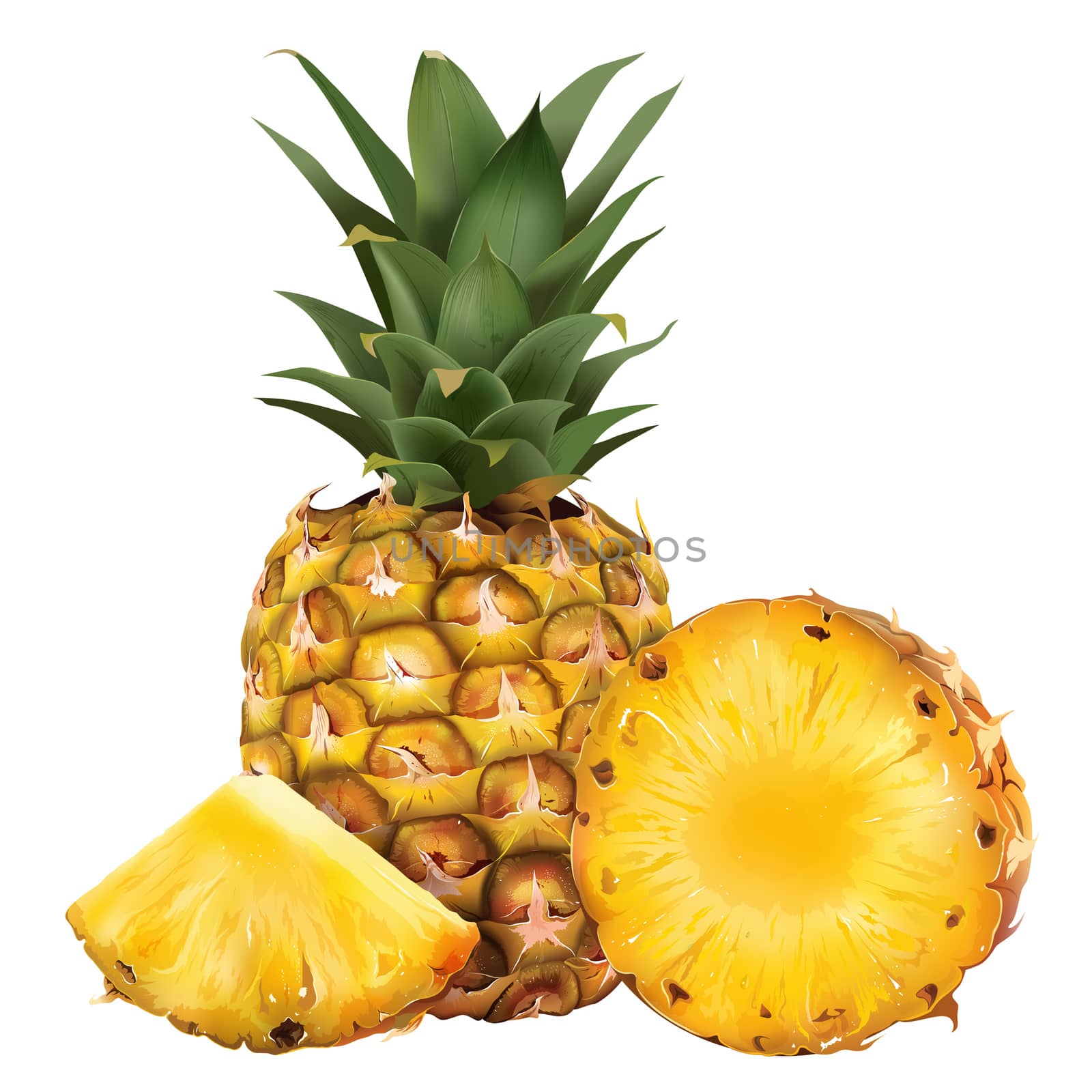 Pineapple on white background by ConceptCafe