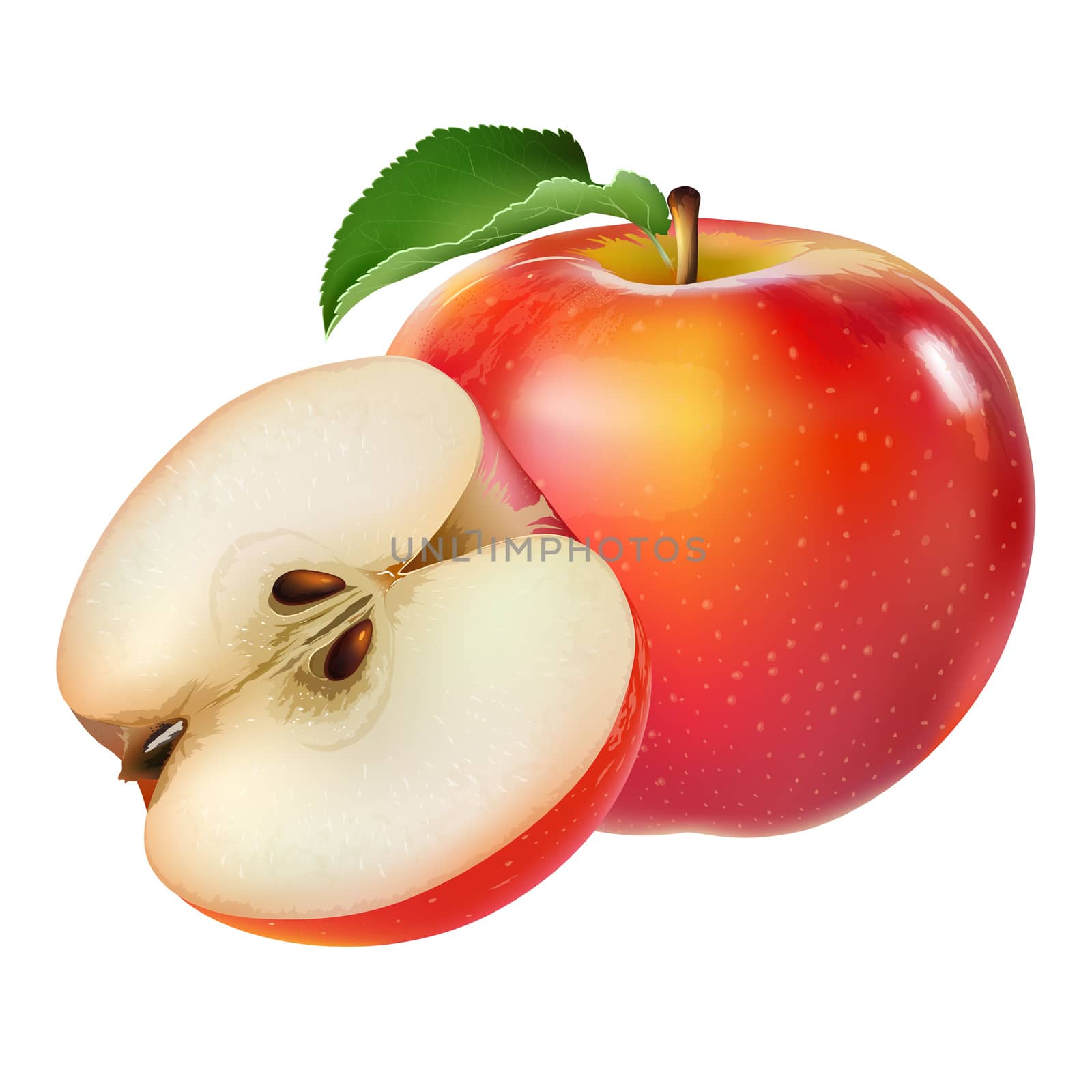 Red apple on white background by ConceptCafe