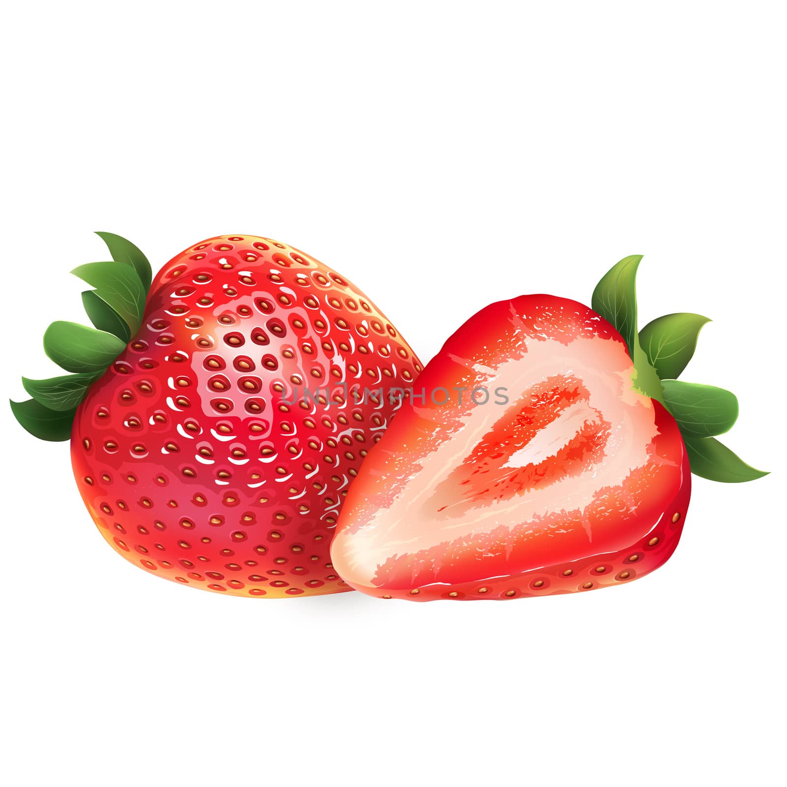 Strawberry and his sliced segment. Isolated illustration on white background.