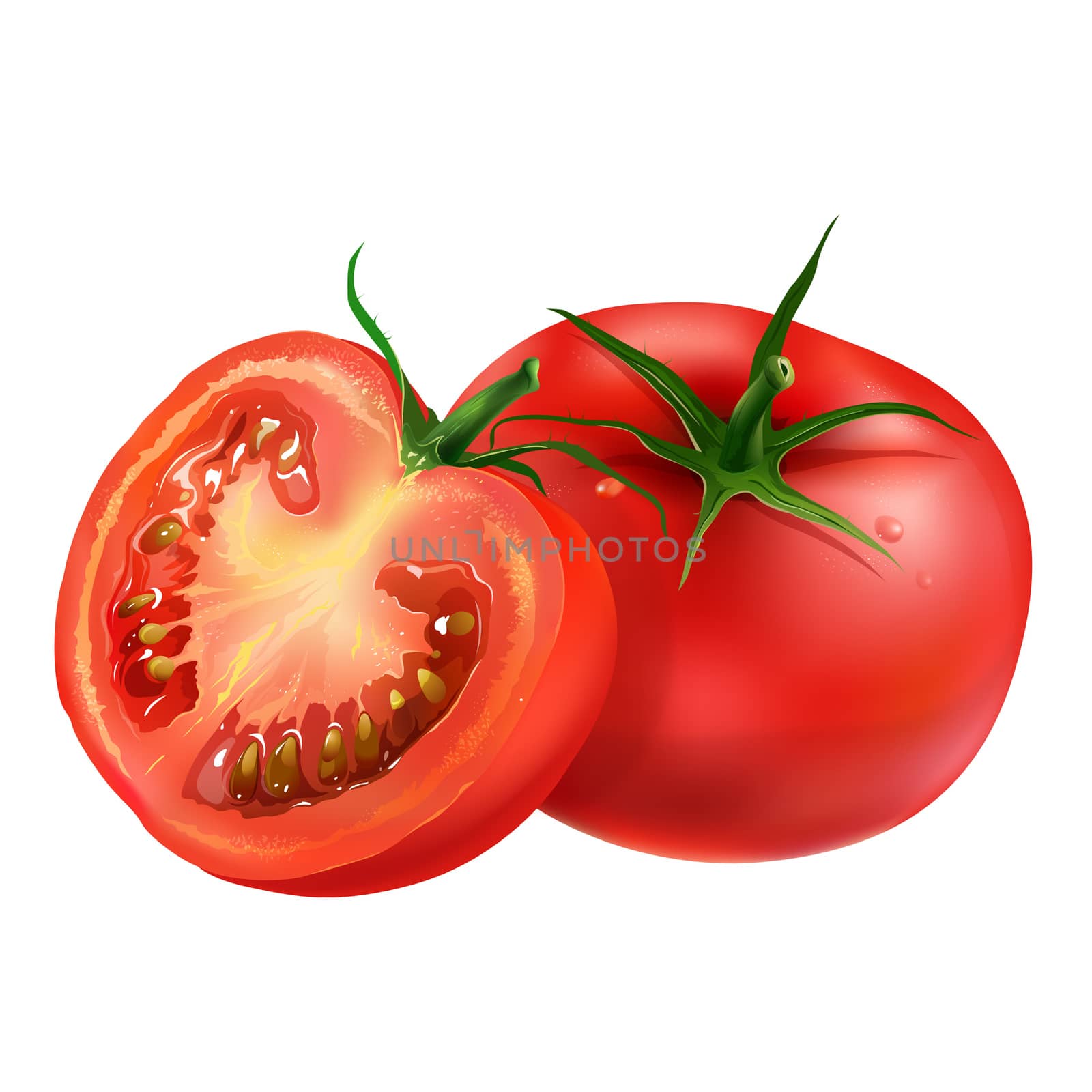 Tomato on white background by ConceptCafe