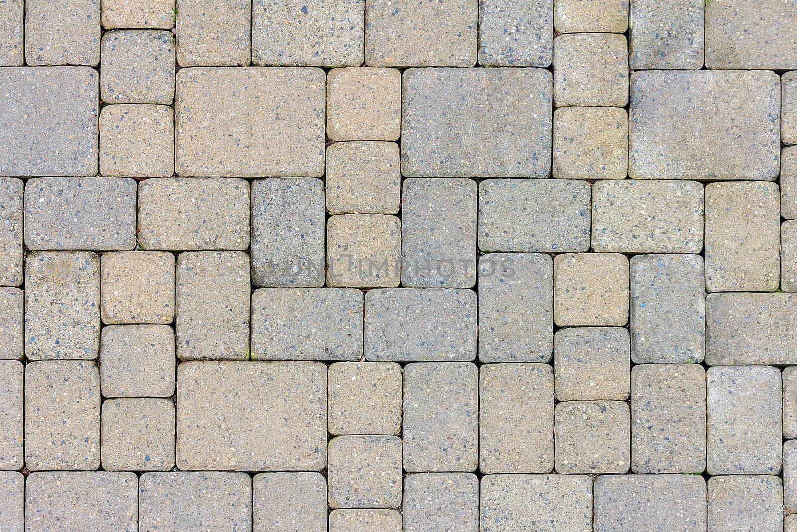 Garden Patio in Backyard Stone Brick Pavers Hardscape Layout Design Top View