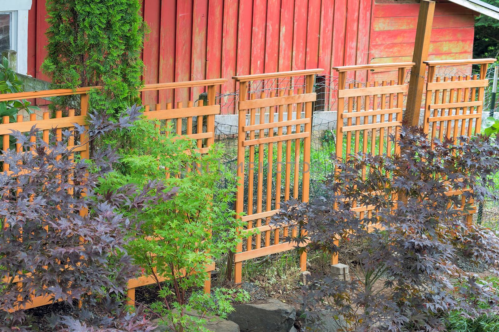 Craftman Style Wood Trellis and trees to cover farm red barn animals fencing in garden backyard