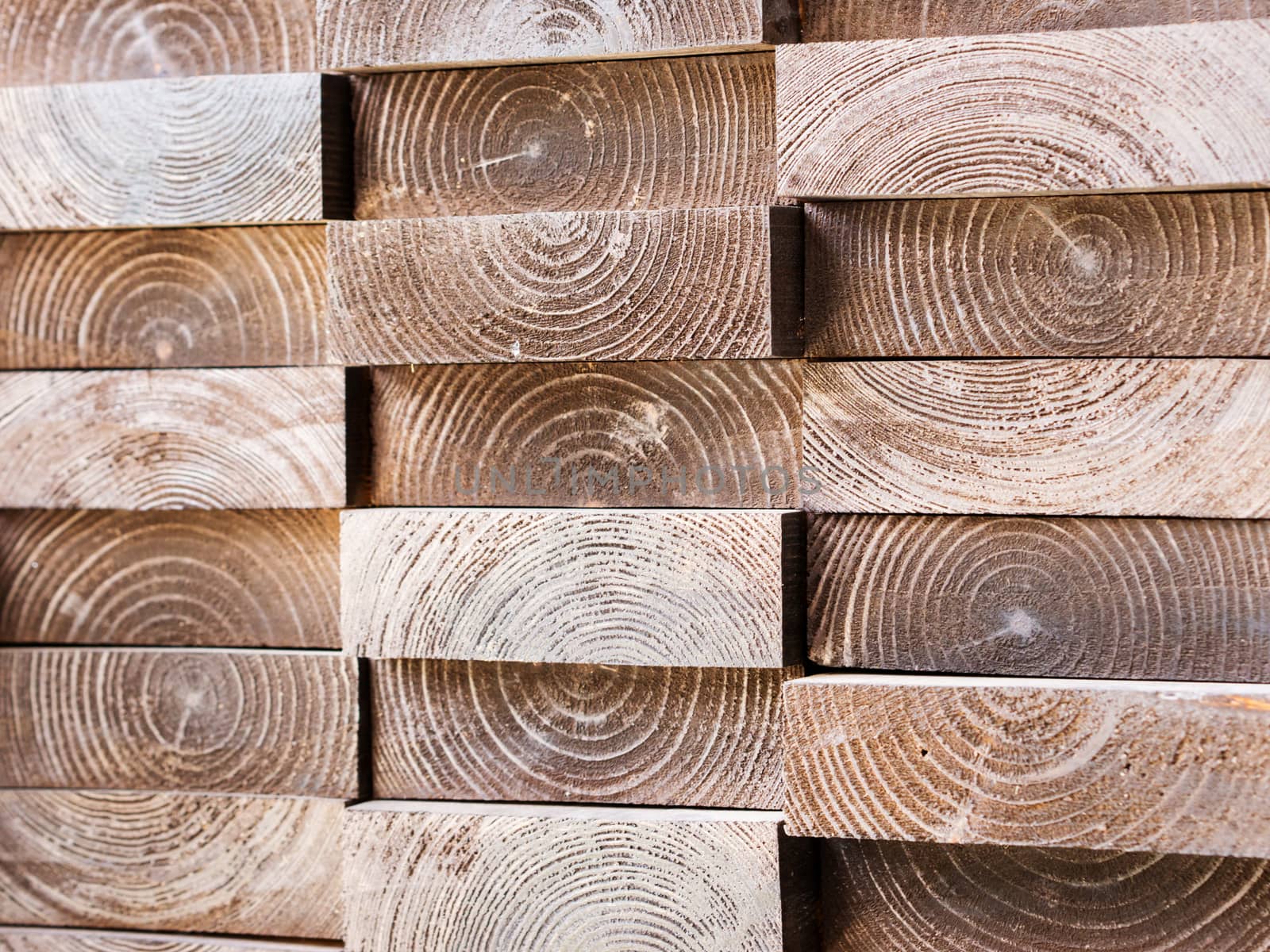 Close up board in profile with texture of tree rings for wall decoration