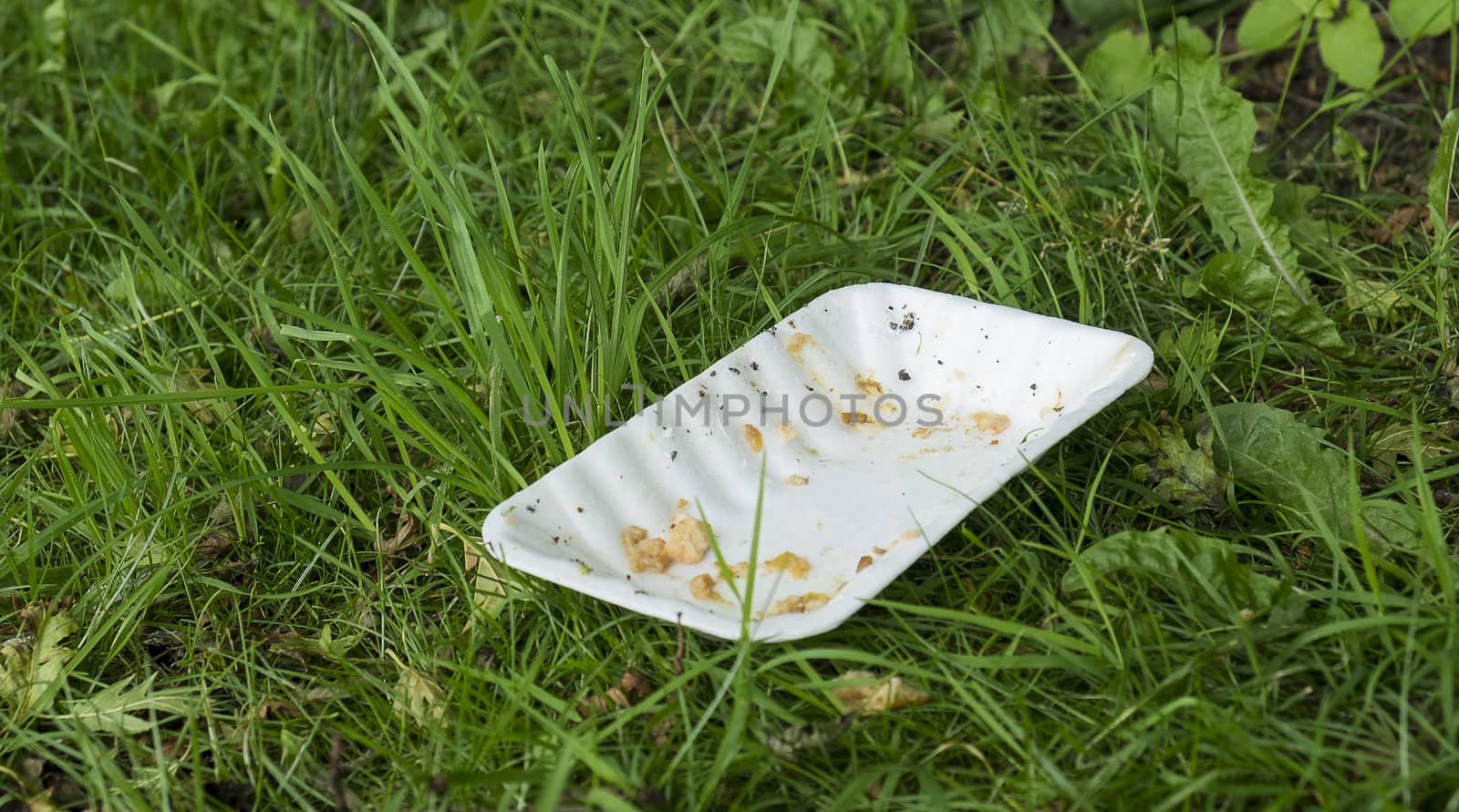 Plastic food tray dropped on grass by sijohnsen