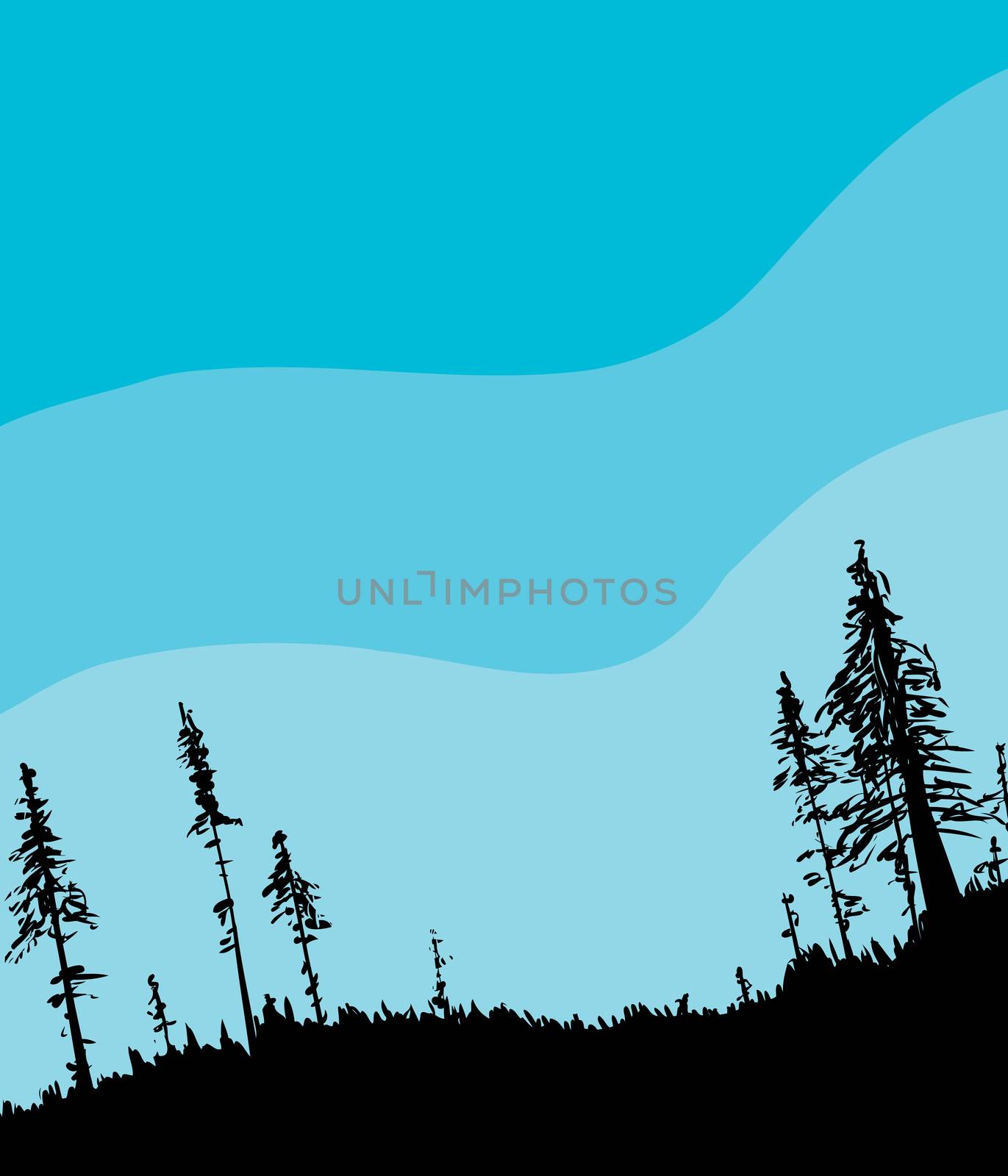 Illustration of Swedish forest woodland from low angle as nature background with blue sky