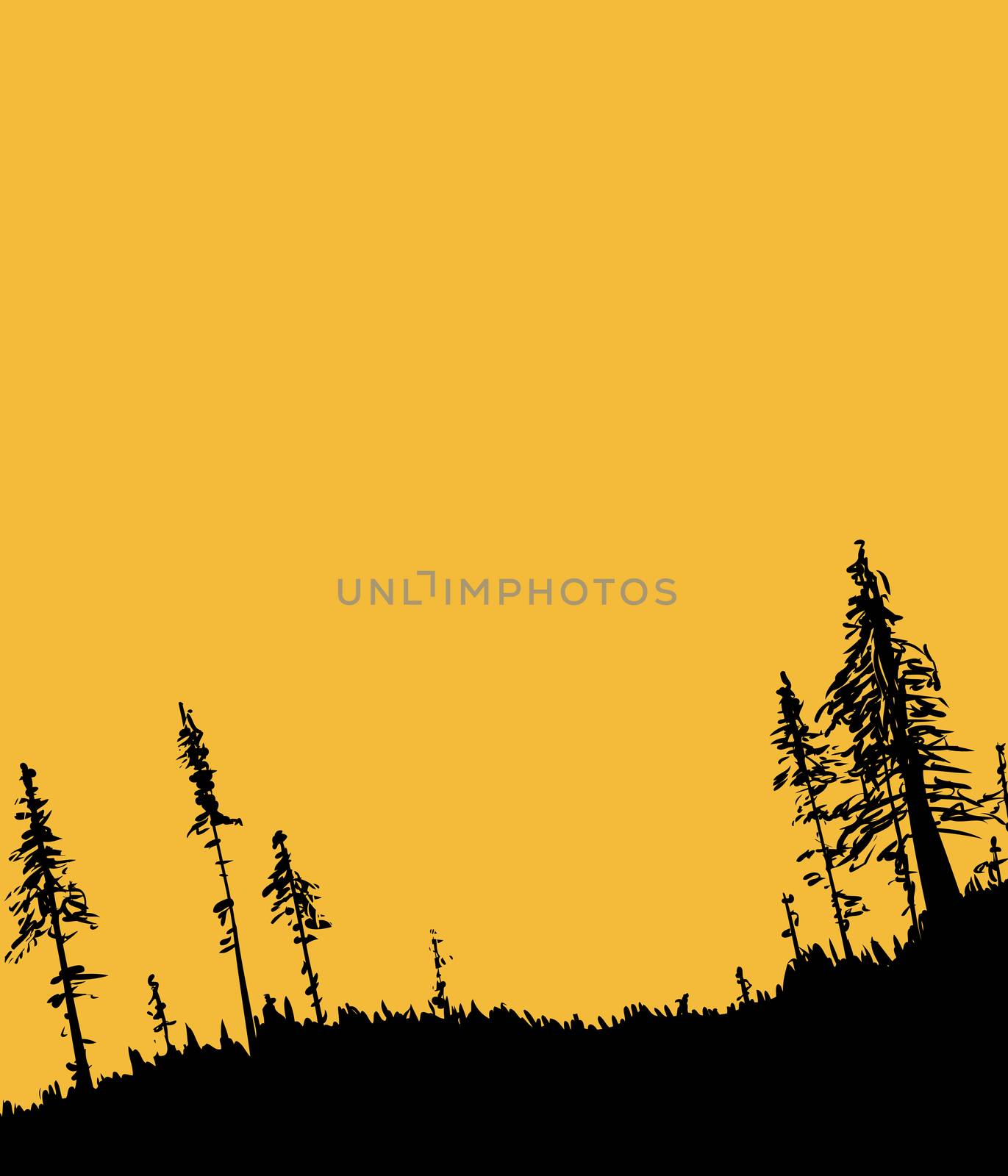 Illustration with copy space of Swedish forest woodland from low angle as nature background