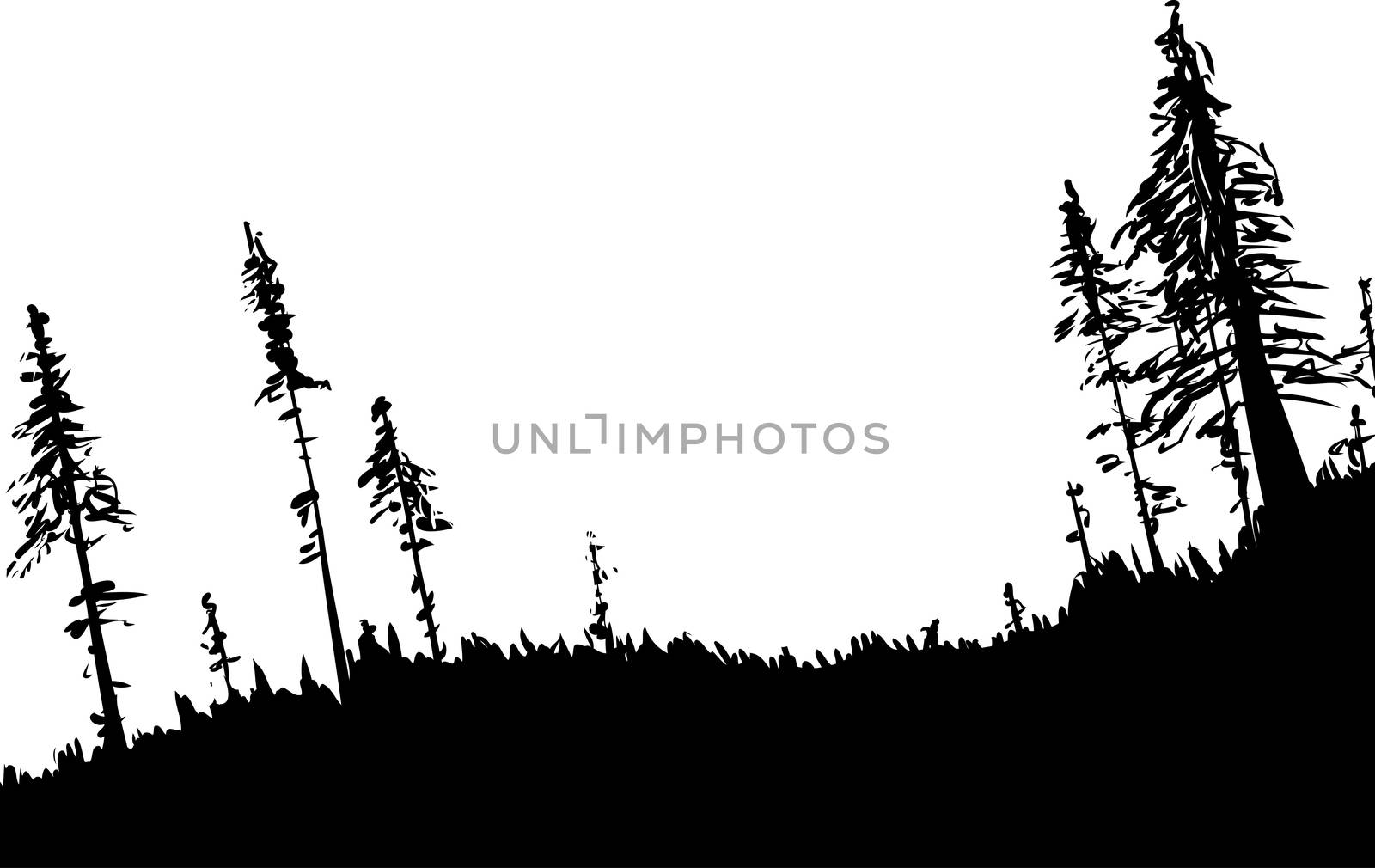 Back-lit illustration of Swedish forest woodland from low angle as nature background