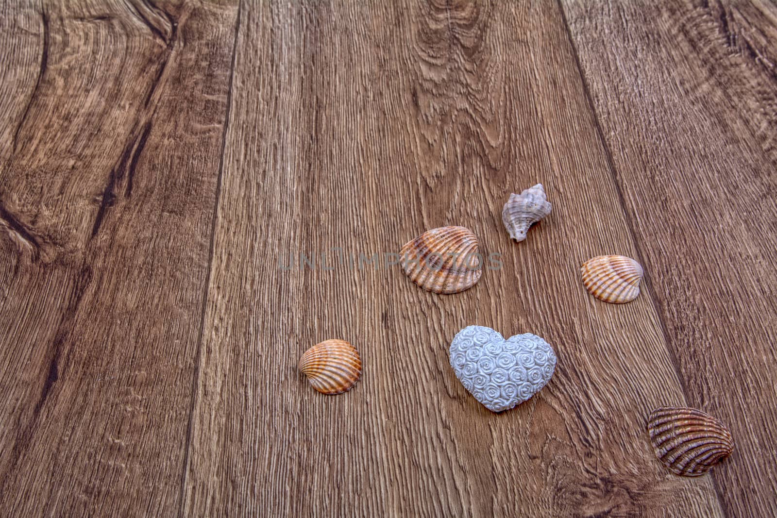 White heart and shells on a wooden background