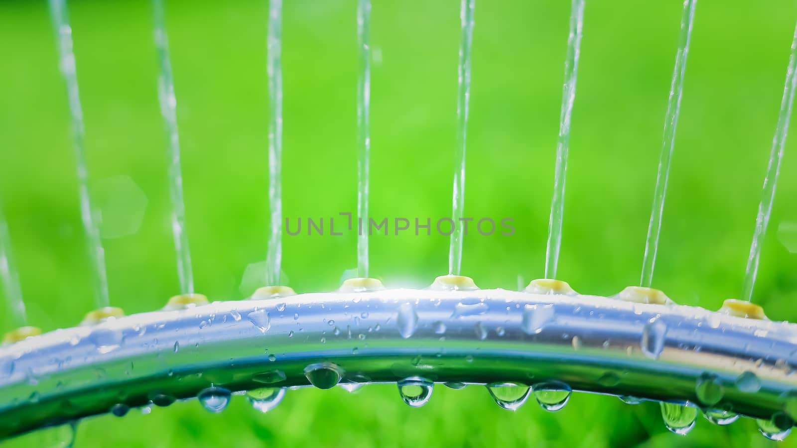 Lawn sprinkler spaying water over green grass. Motion blur. Select focus.