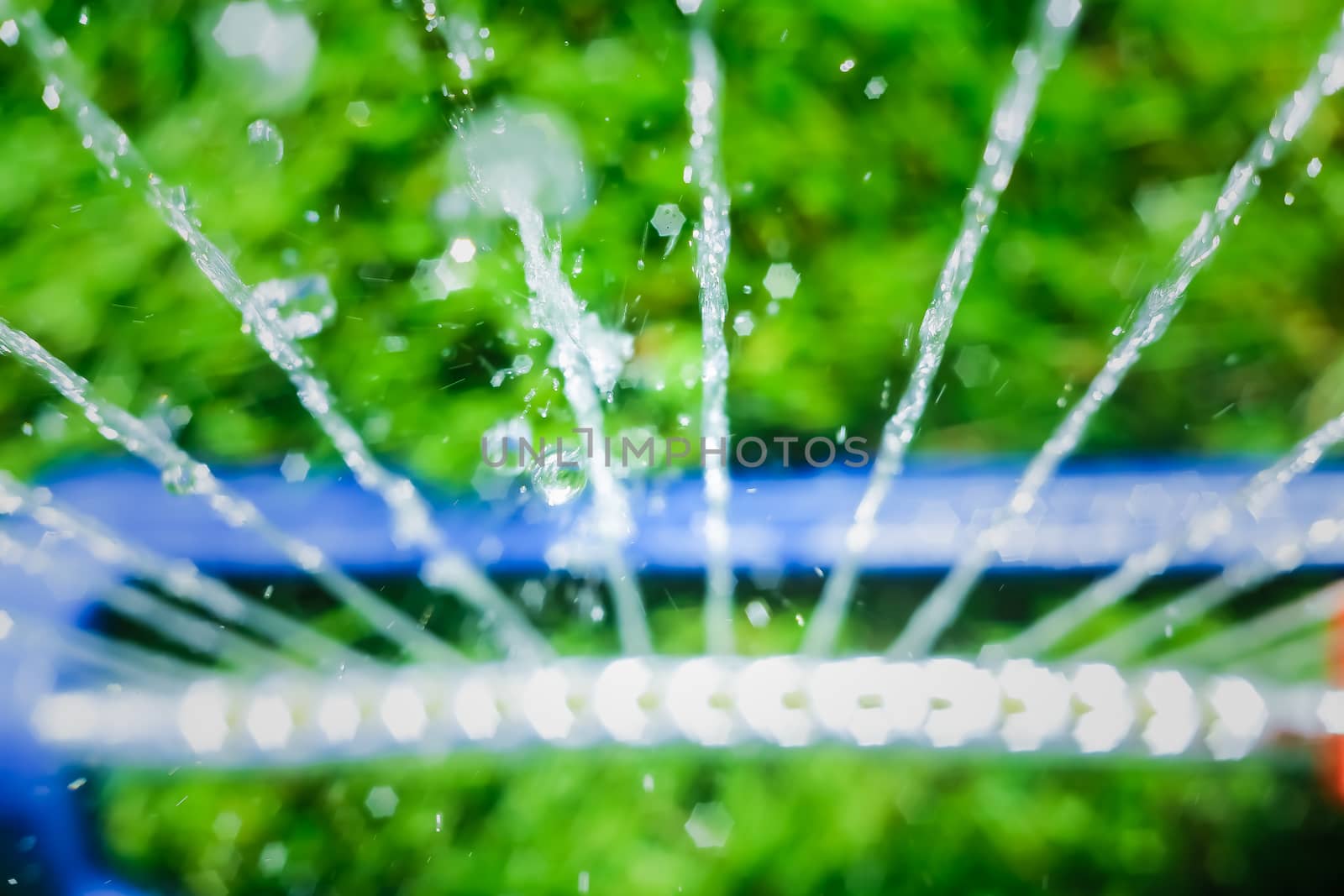 Lawn sprinkler spaying water over green grass. Motion blur. Select focus.