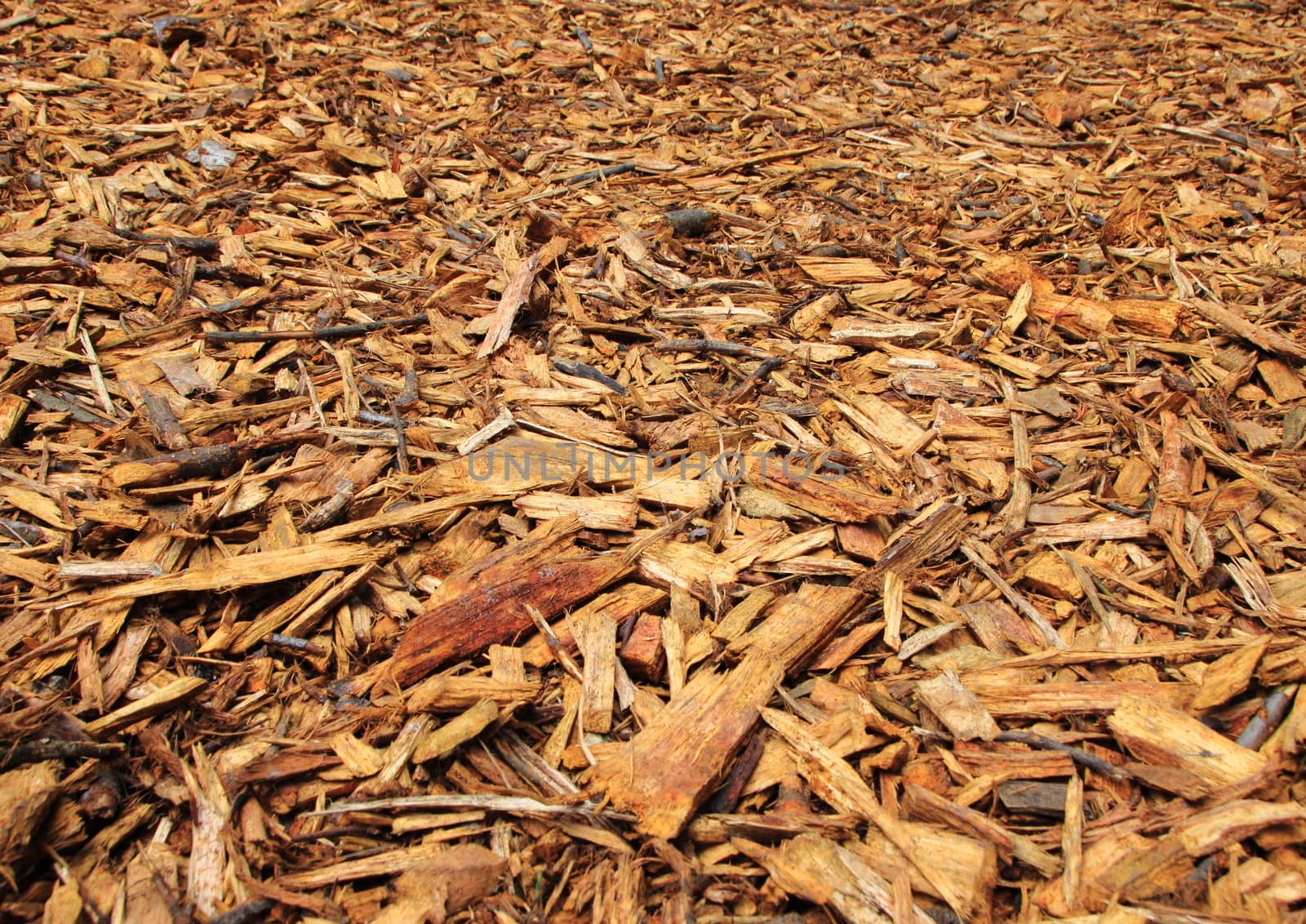 Fresh Brown Wood Chips with Endless Perspective Background
