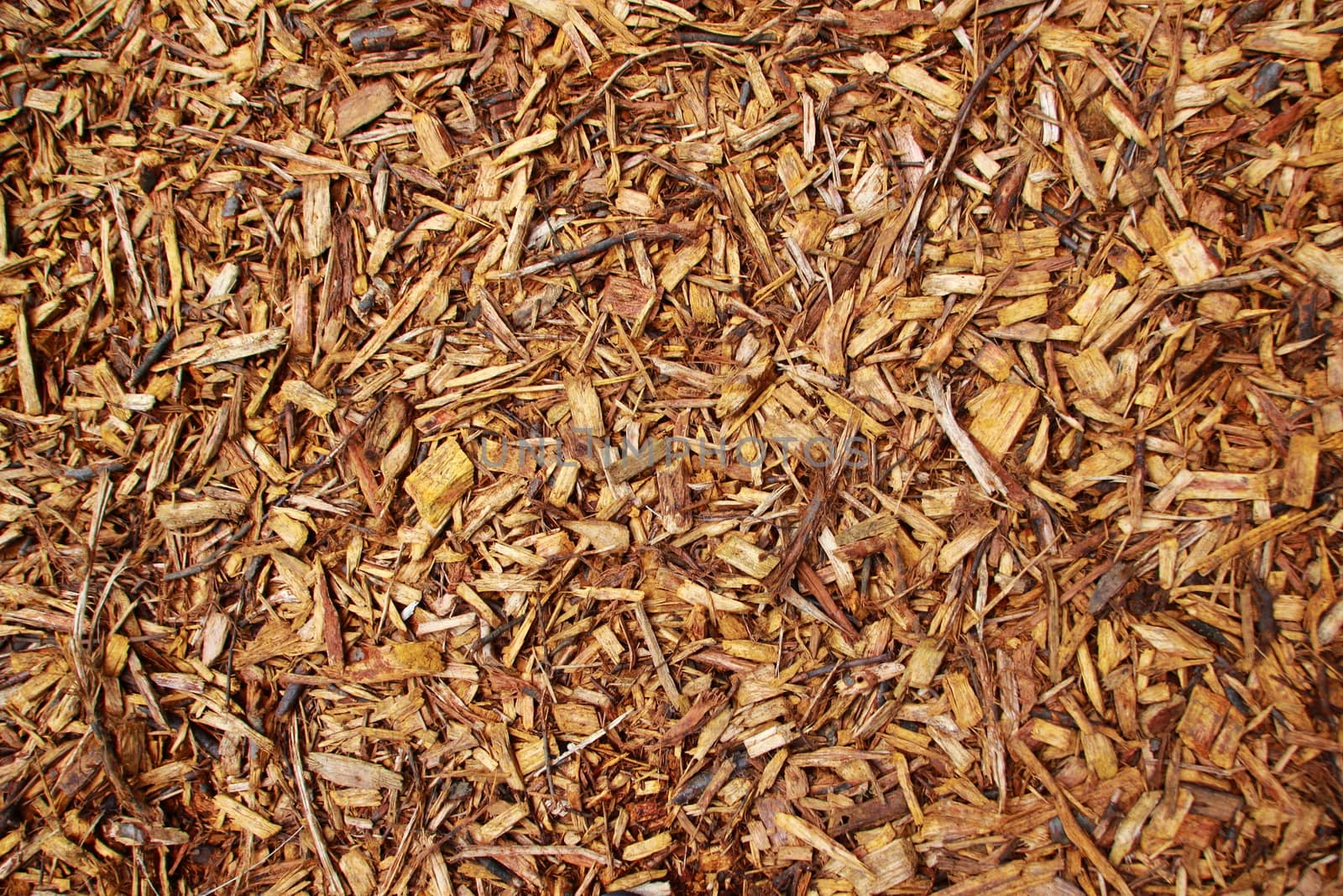 Fresh Brown Wooden Chips in Aerial View