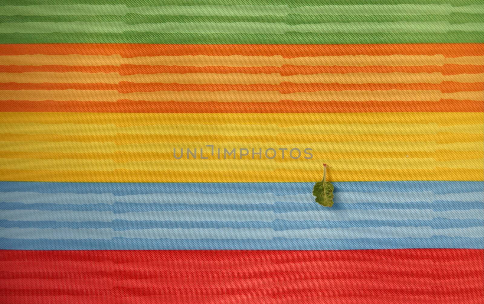 Abstract colorful background stripe textile texture. Macro photo.