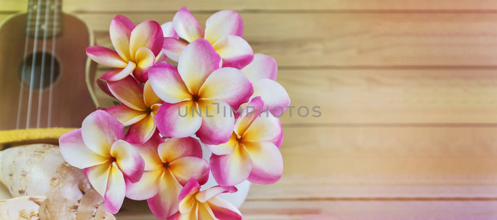 Pink yellow and white flowers bunch plumeria or frangipani in vase, with ukulele background on wooden table  and fresh summer mood with blank area for text, frangipani or plumeria decoration in tropical summer feeling