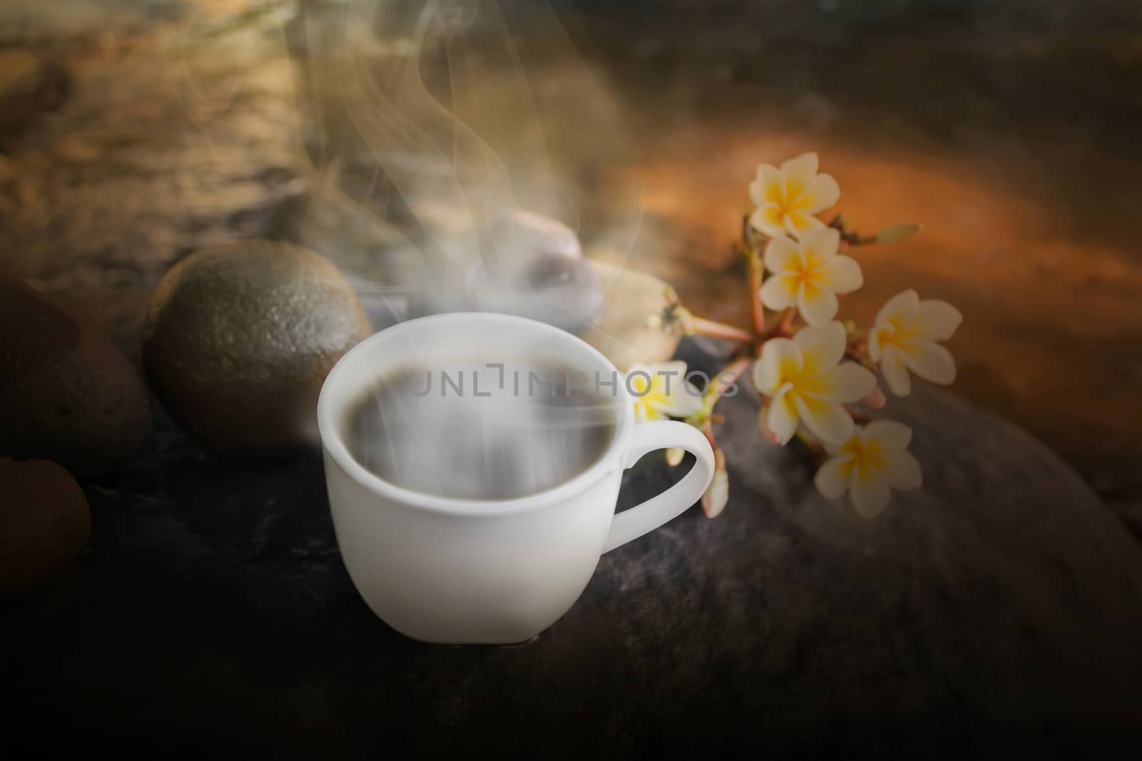 Dreamy white cup of hot black coffee on waterfall rock with flower and water nature view background in happy relax feeling morning light and copy space