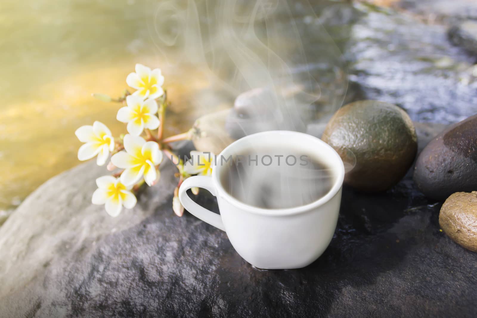 Dreamy white cup of hot black coffee on waterfall rock with flower and water nature view background in happy relax feeling morning light and copy space