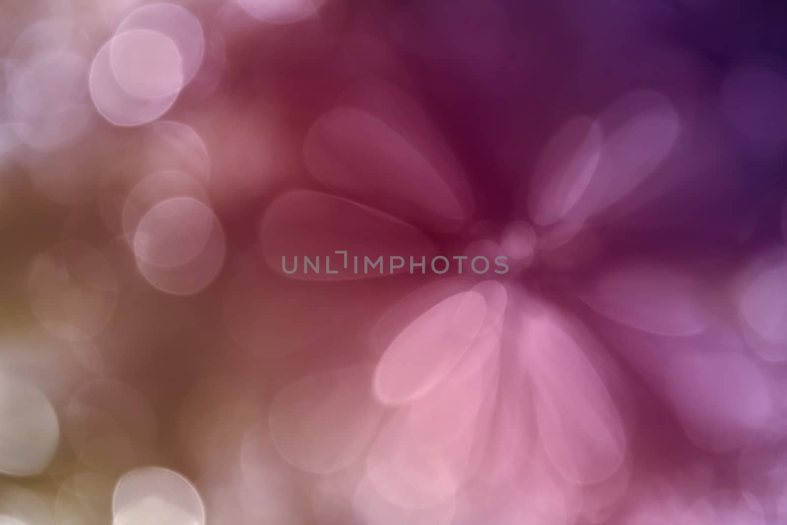 Colourful sweet pink violet spark and blow abstract spring blossom background