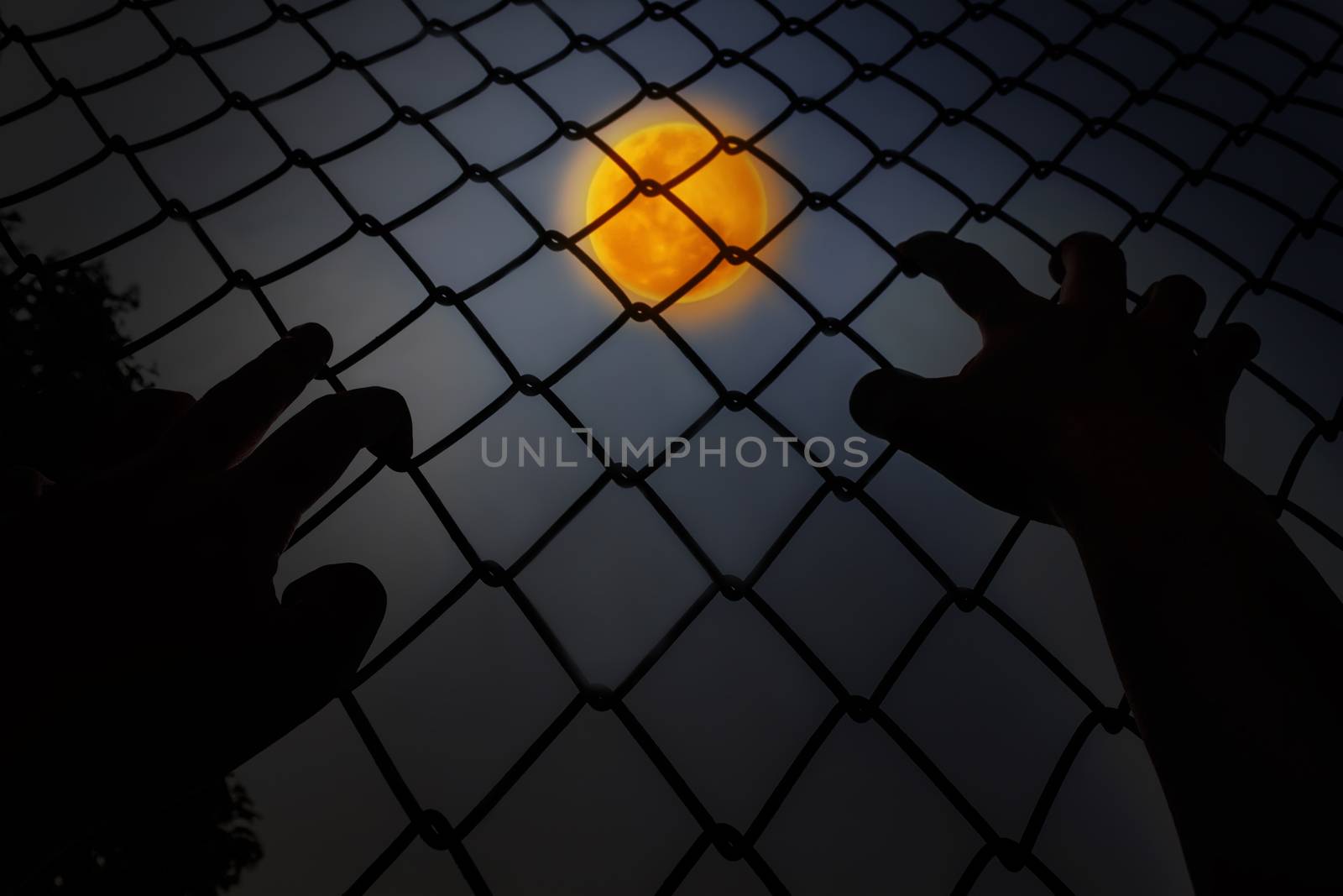 Hands climbing iron bar in dark night with full moon background, concept of horrendous,halloween or impersonate