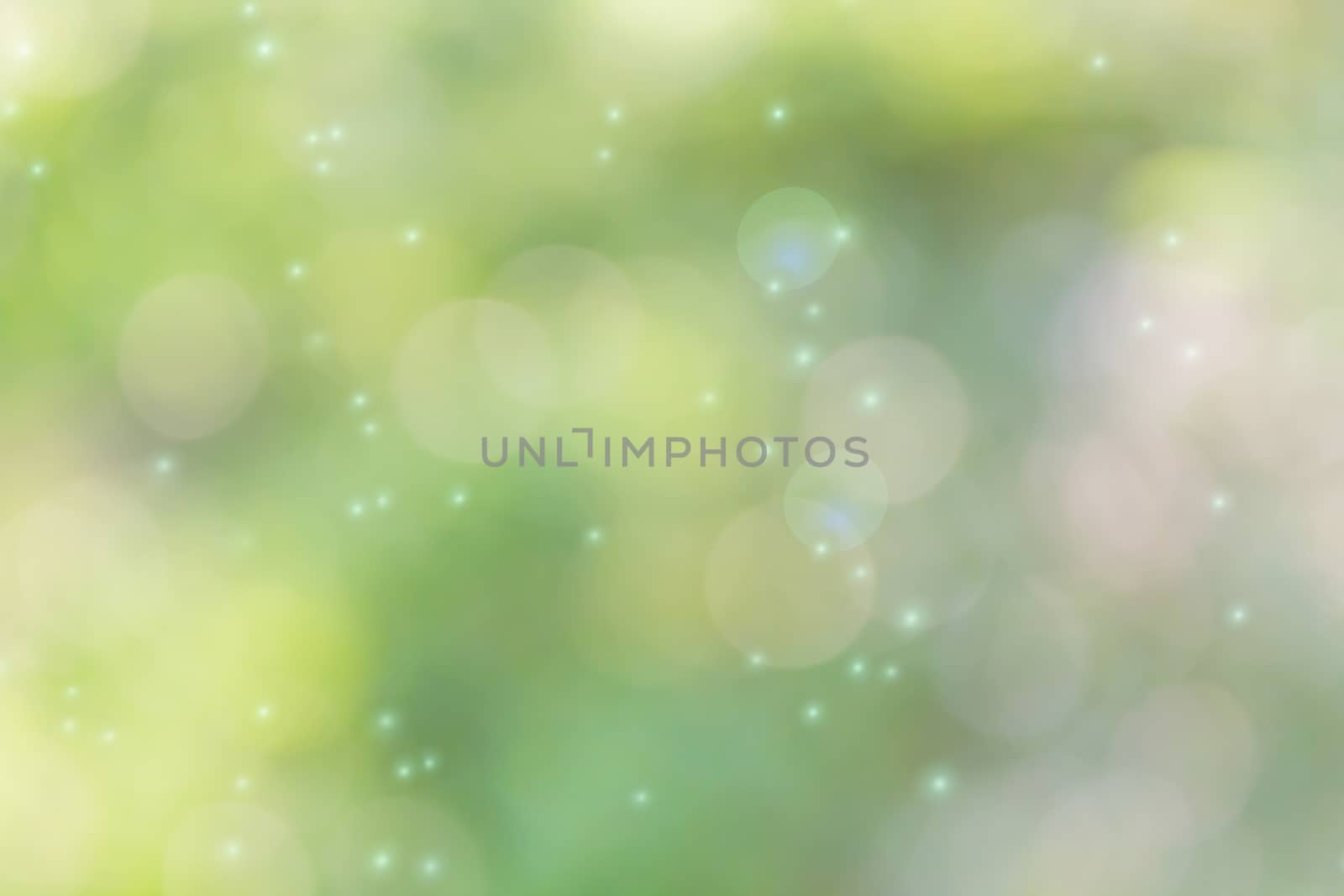 Soft nature green colour bokeh bush tree and sunlight for abstract romantic dreamy background