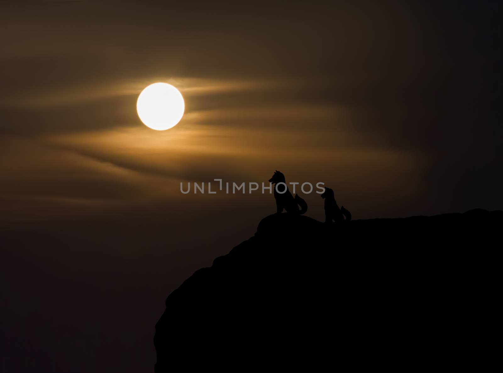 Two dogs silhouette on cliff with blurred moon view from highland background