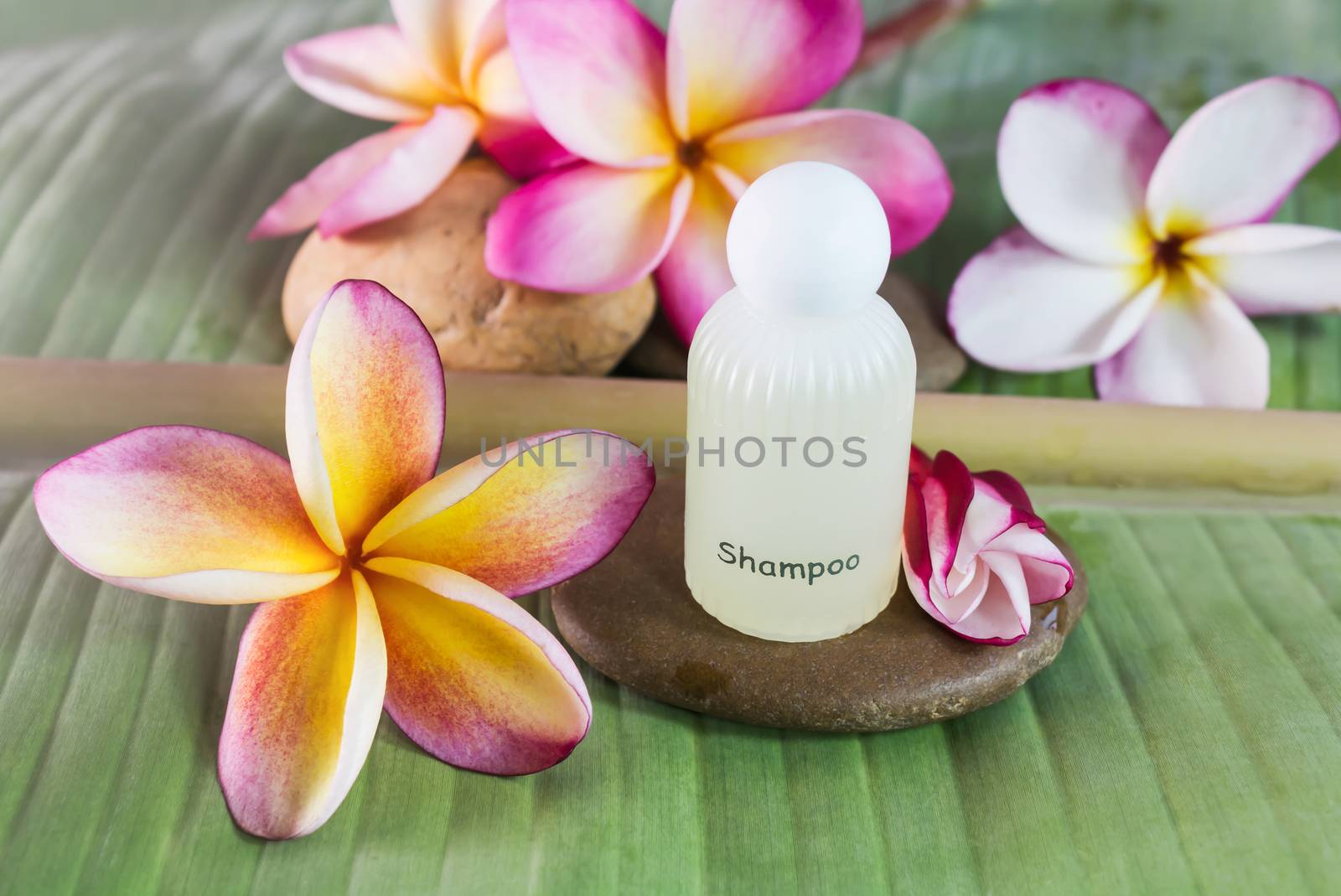 shampoo conditioner or liquid soap for bath and shower with flowers on green banana leaf