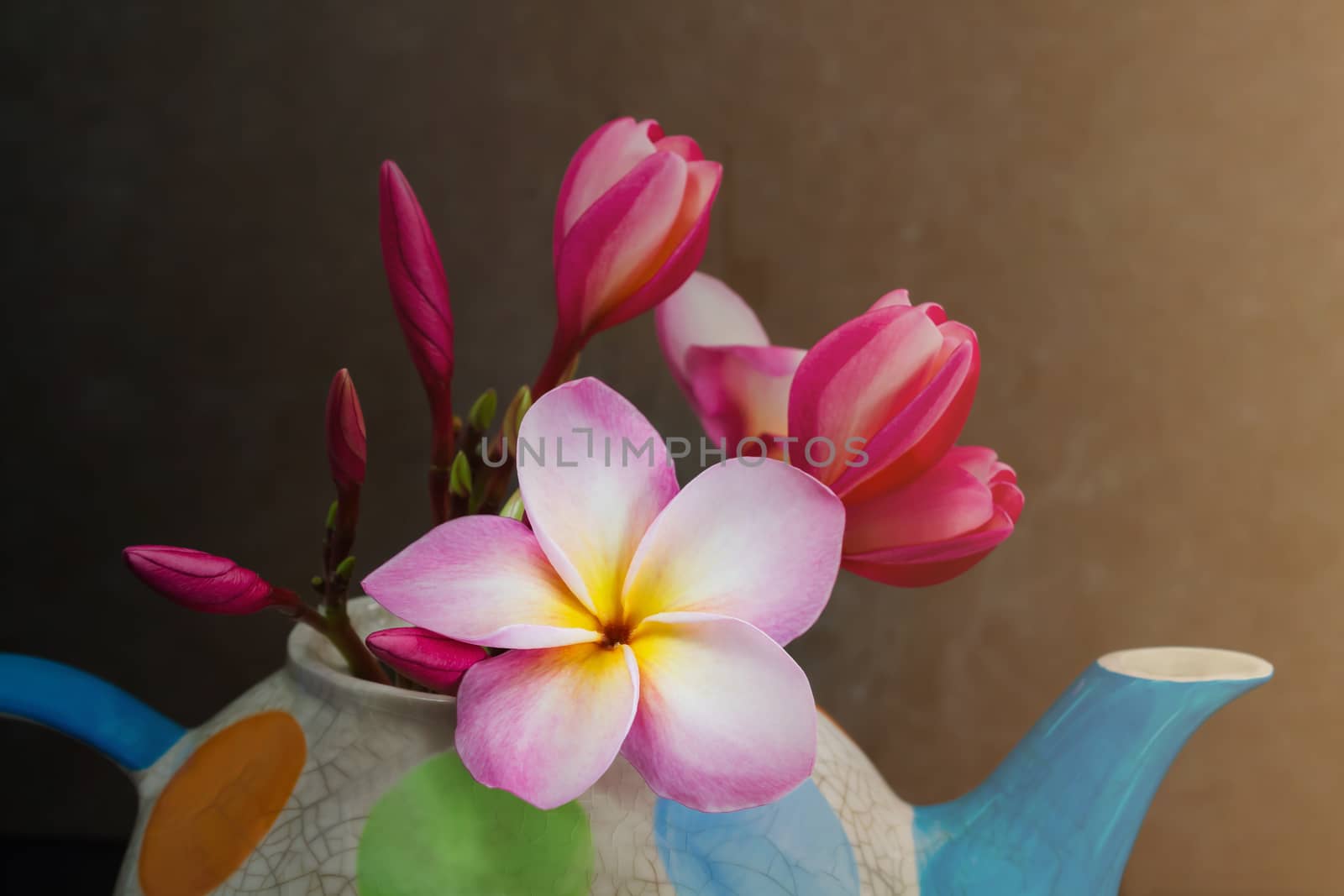 Lovely beautiful pink flower plumeria  bunch decorated in colourful dotted pattern tea pot with nature green background and happy morning light
