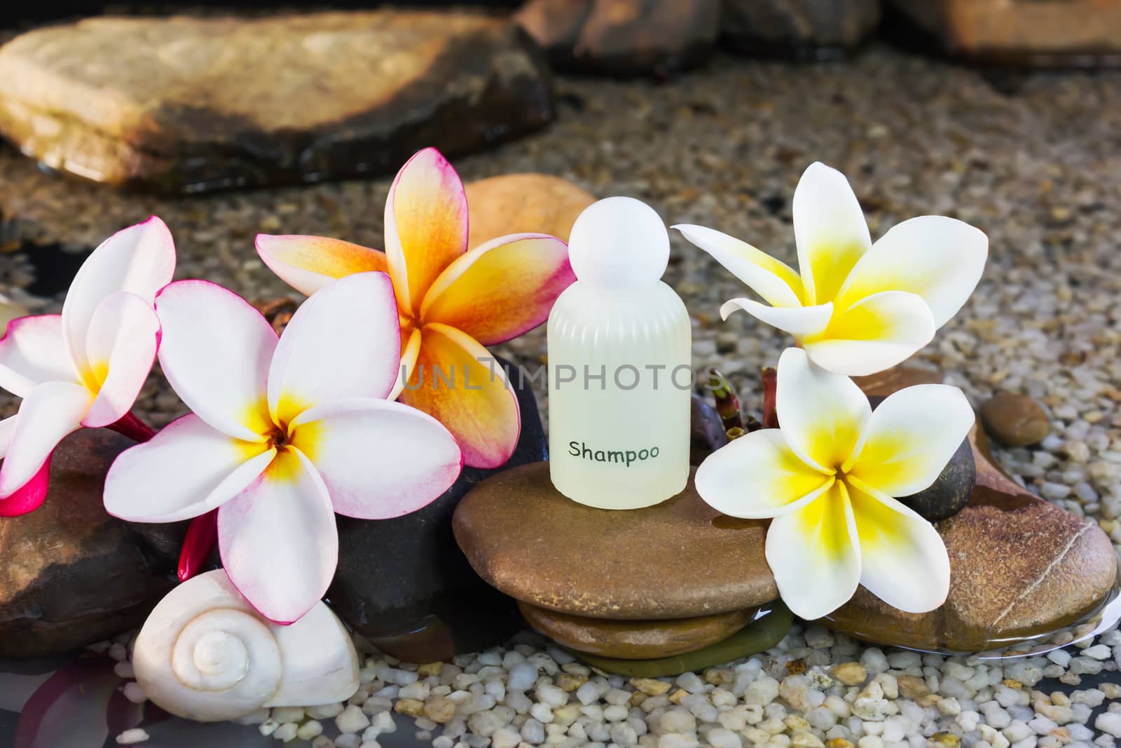 Mini set of bubble bath and shower gel decorated in zen style with pebble rock and flower with relaxing mood