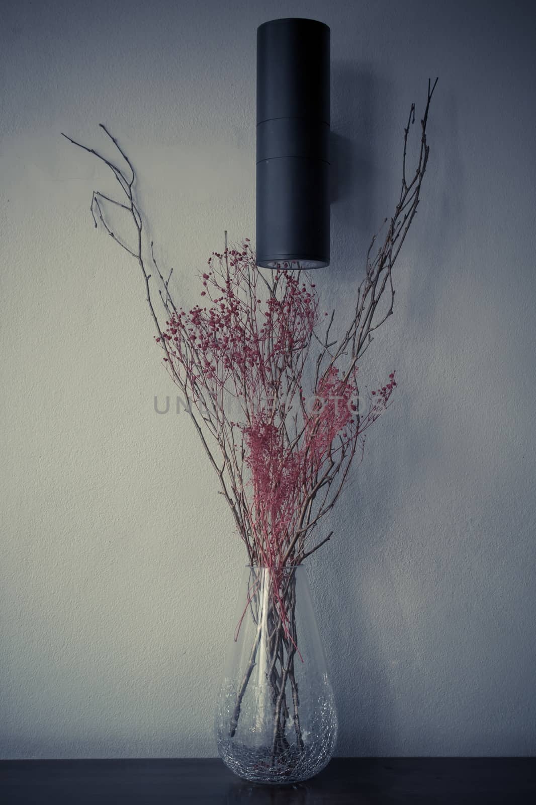 Red dry flower in vase glass vintage color tone by worrayuth